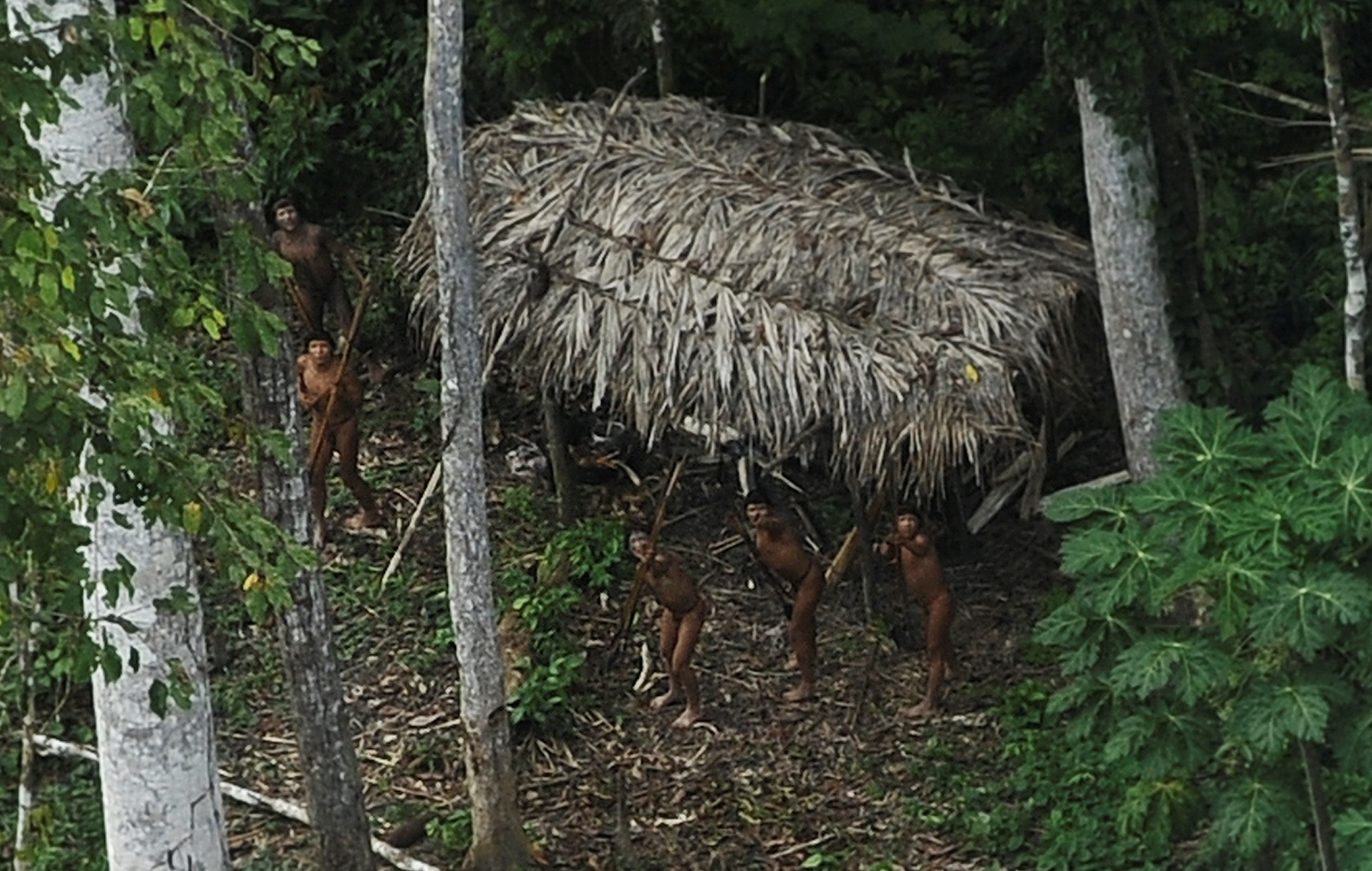 uncontacted amazonian tribes