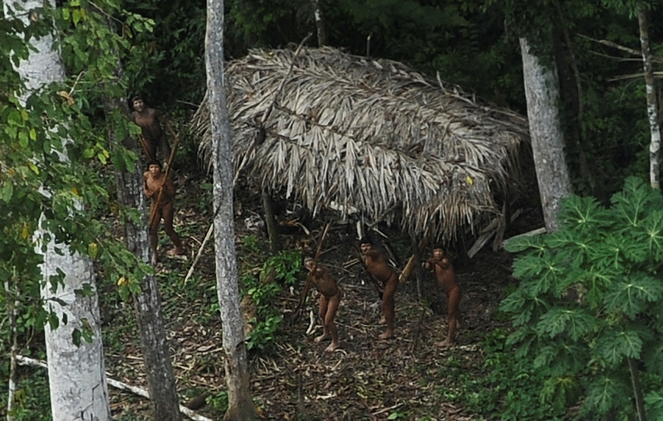 amazon rainforest tribe huts