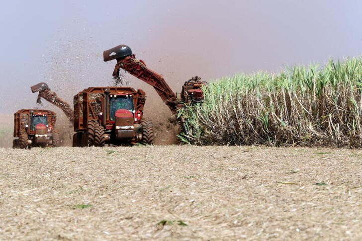 A combine harvester cuts sugar cane in a field at the Sao Martinho sugar mill in Pradopolis