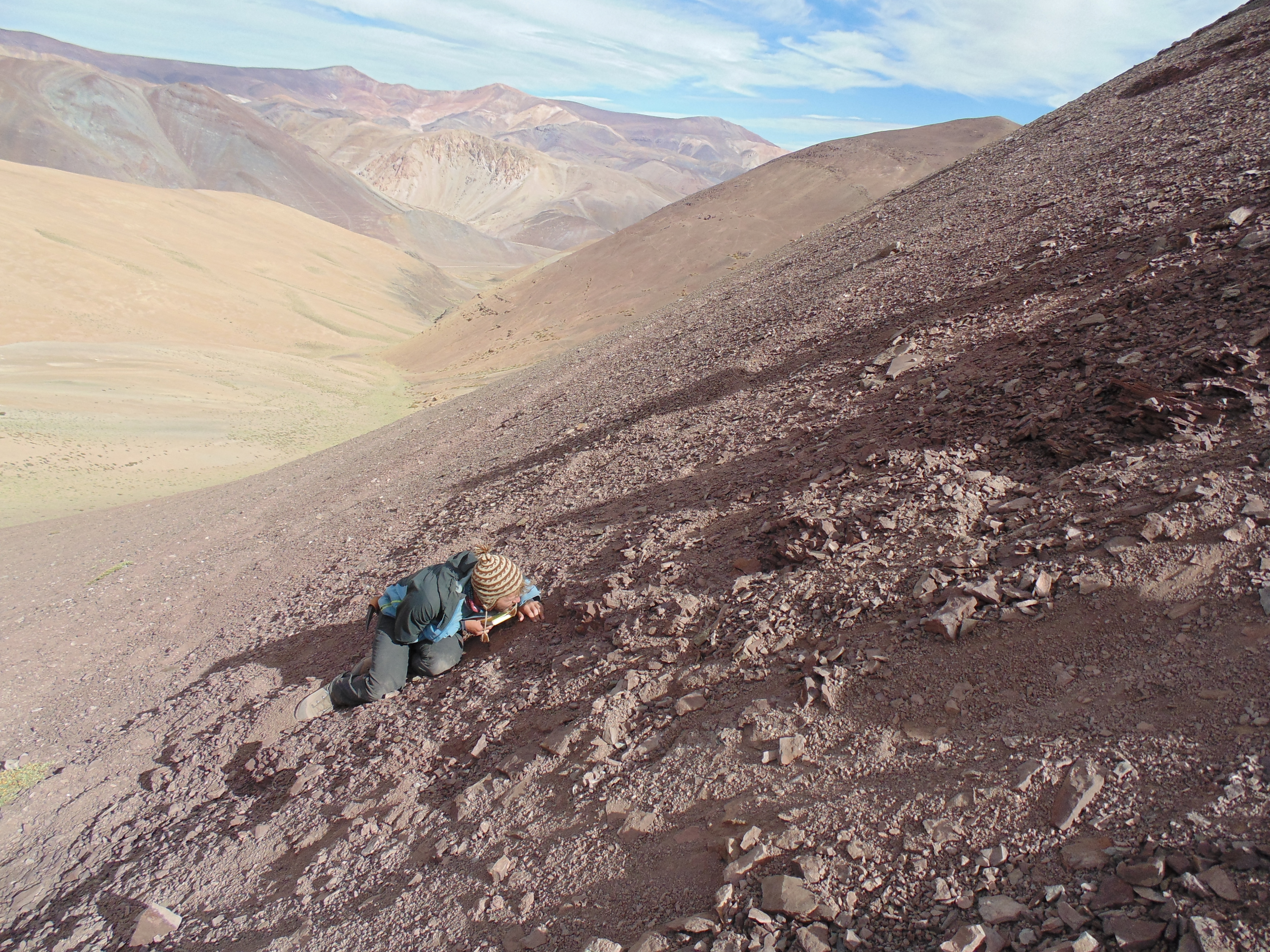 Fosilet e Pterosaurëve të gjetur në kodrën "Tormento" në shkretëtirën Atacama, Kili