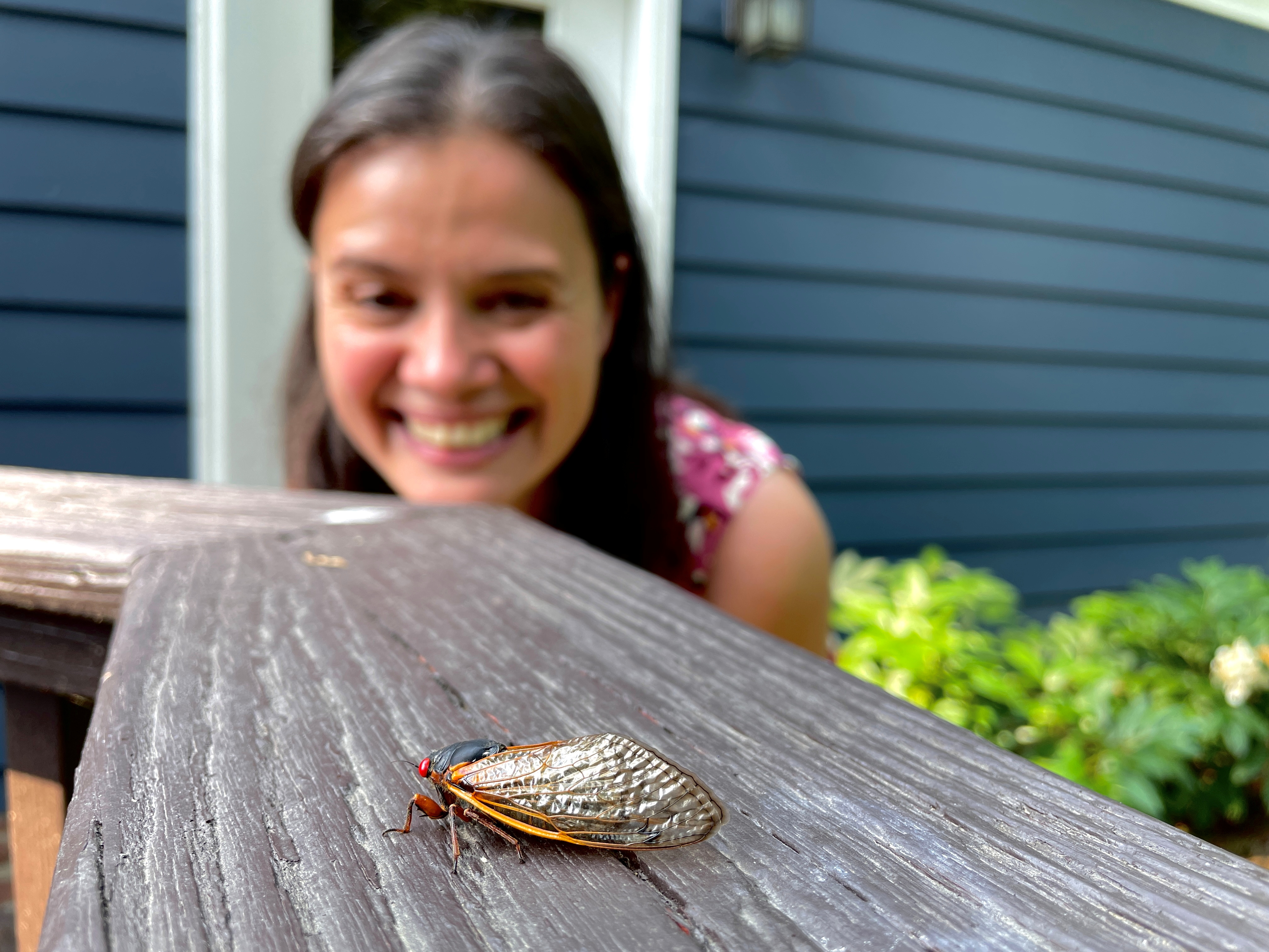 Virginia woman poses live cicadas in human settings