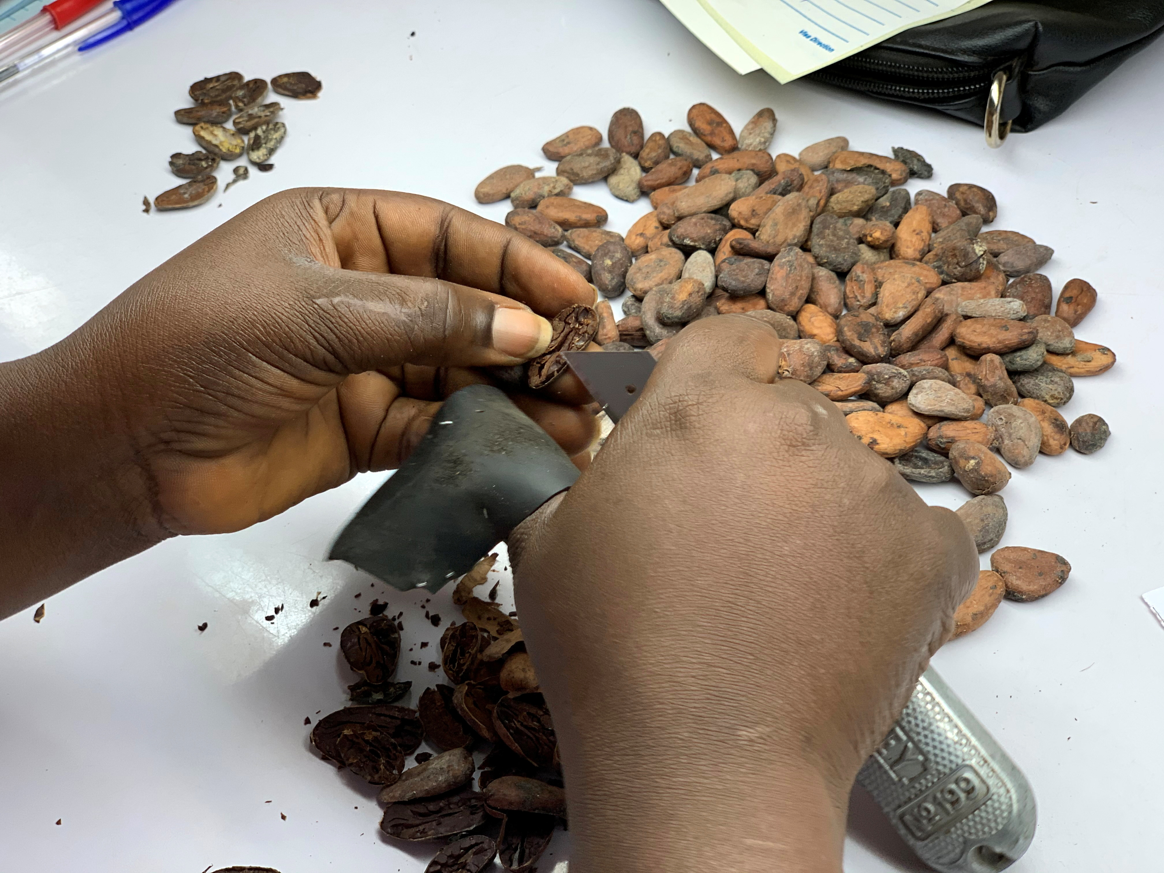 A worker handles cocoa beans at a warehouses in San Pedro