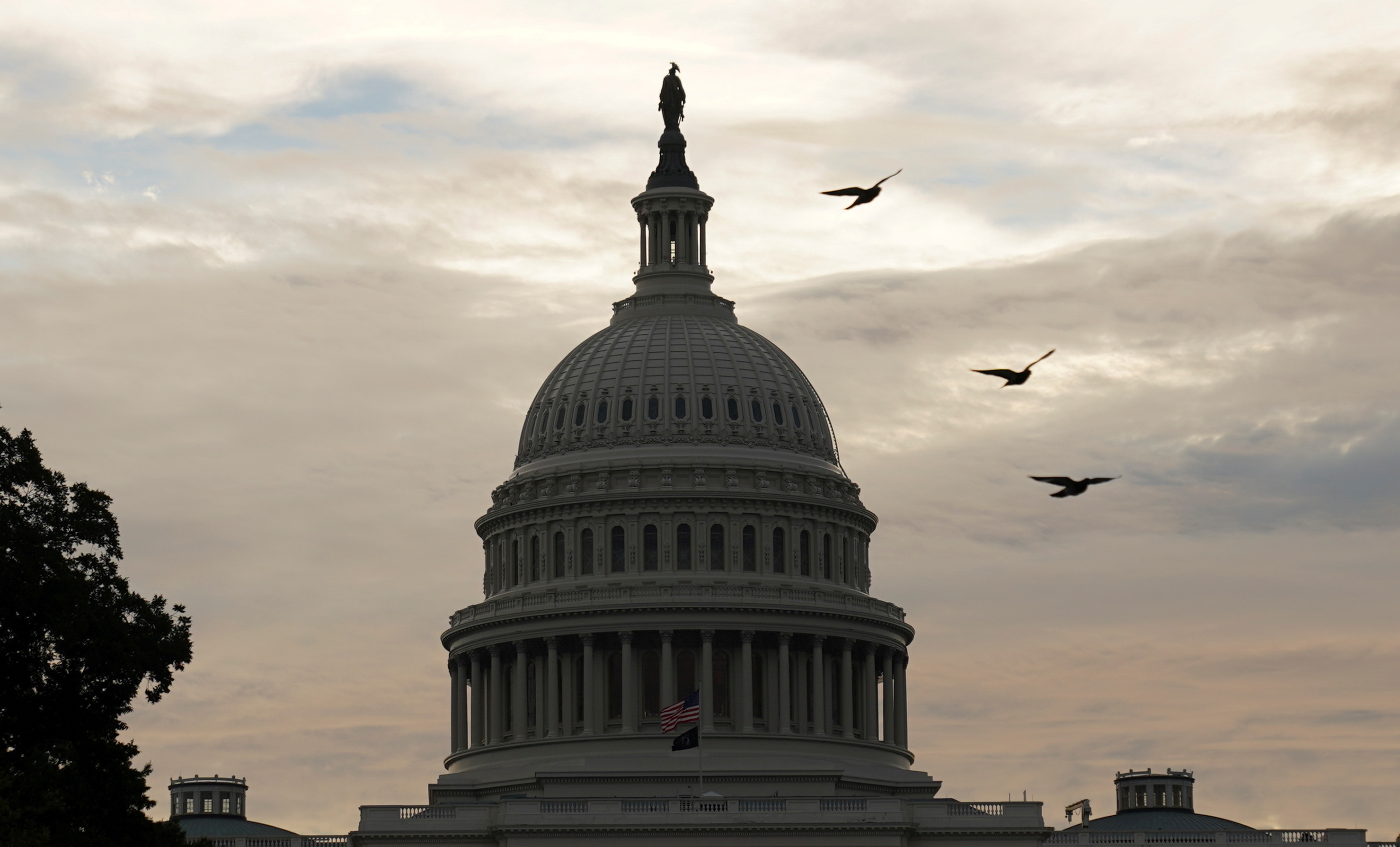 Birds fly near the U.S. Capitol in Washington, U.S., October 4, 2021. REUTERS/Kevin Lamarque/File Photo