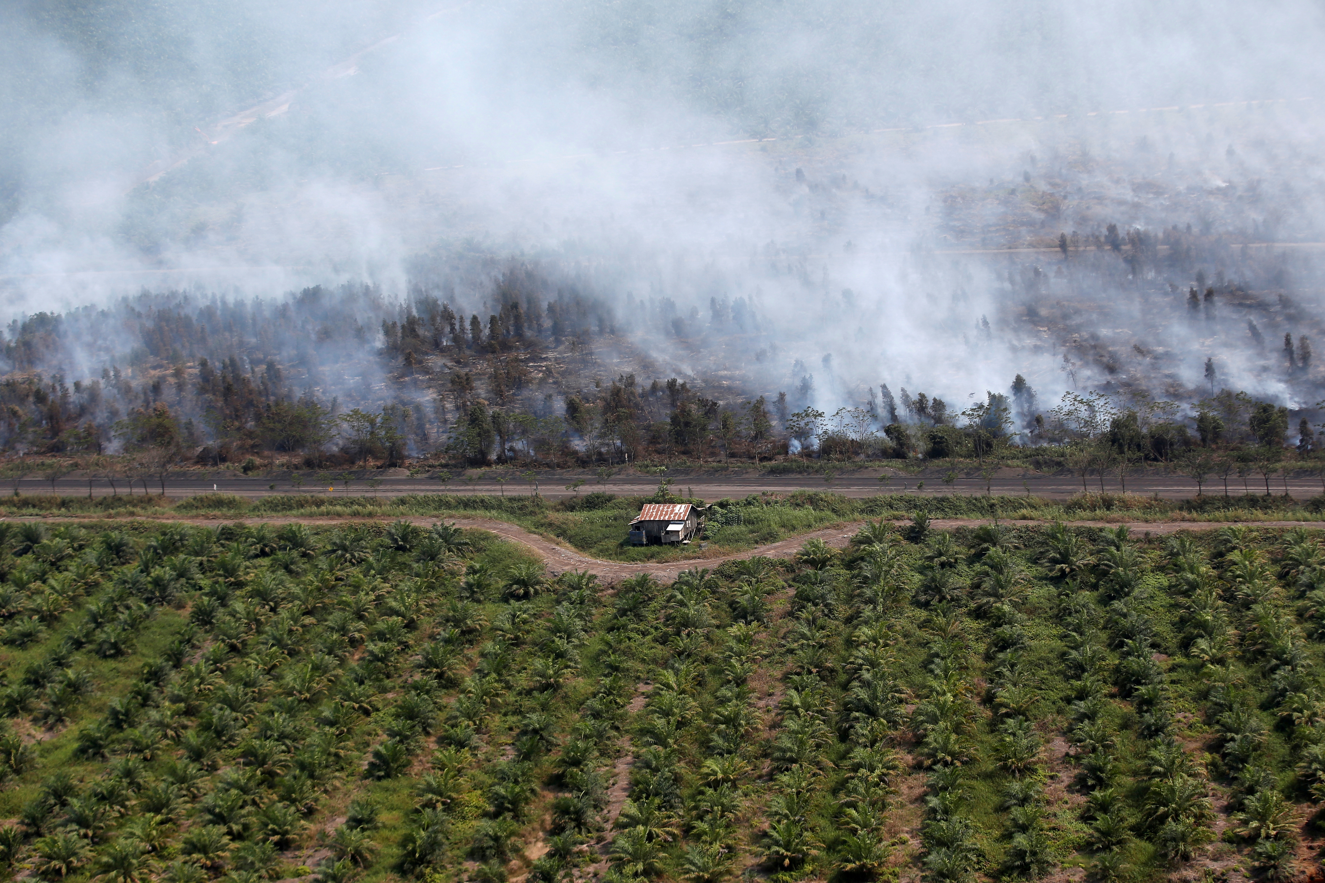 A wooden house is pictured at a palm oil plantation as smoke covers trees due to the forest fires near Banjarmasin