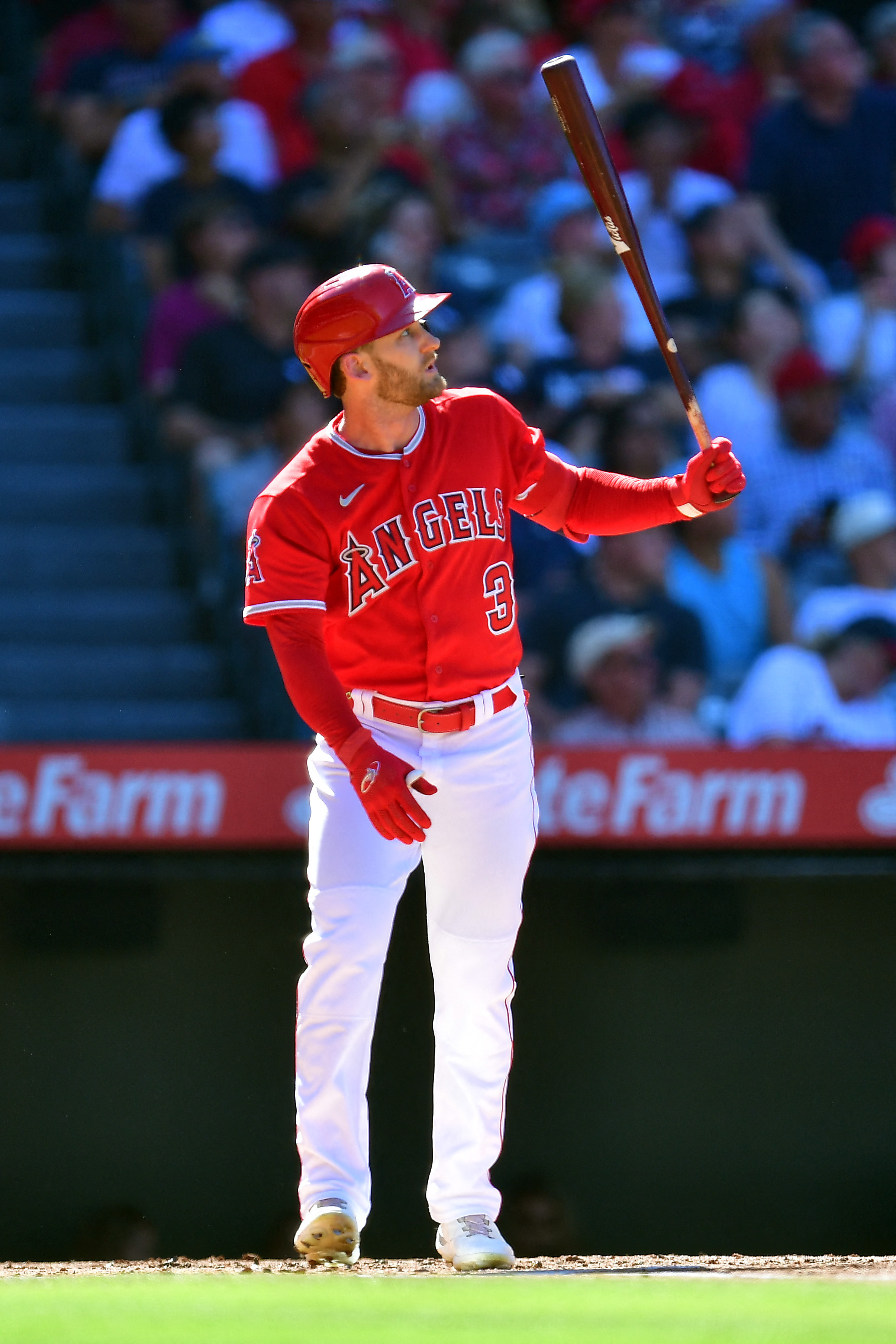 Angels SWEEP Yankees! Chase Silseth Was Filthy! 🧹 #angelsbaseball #angels  #gohalos #shoheiohtani 