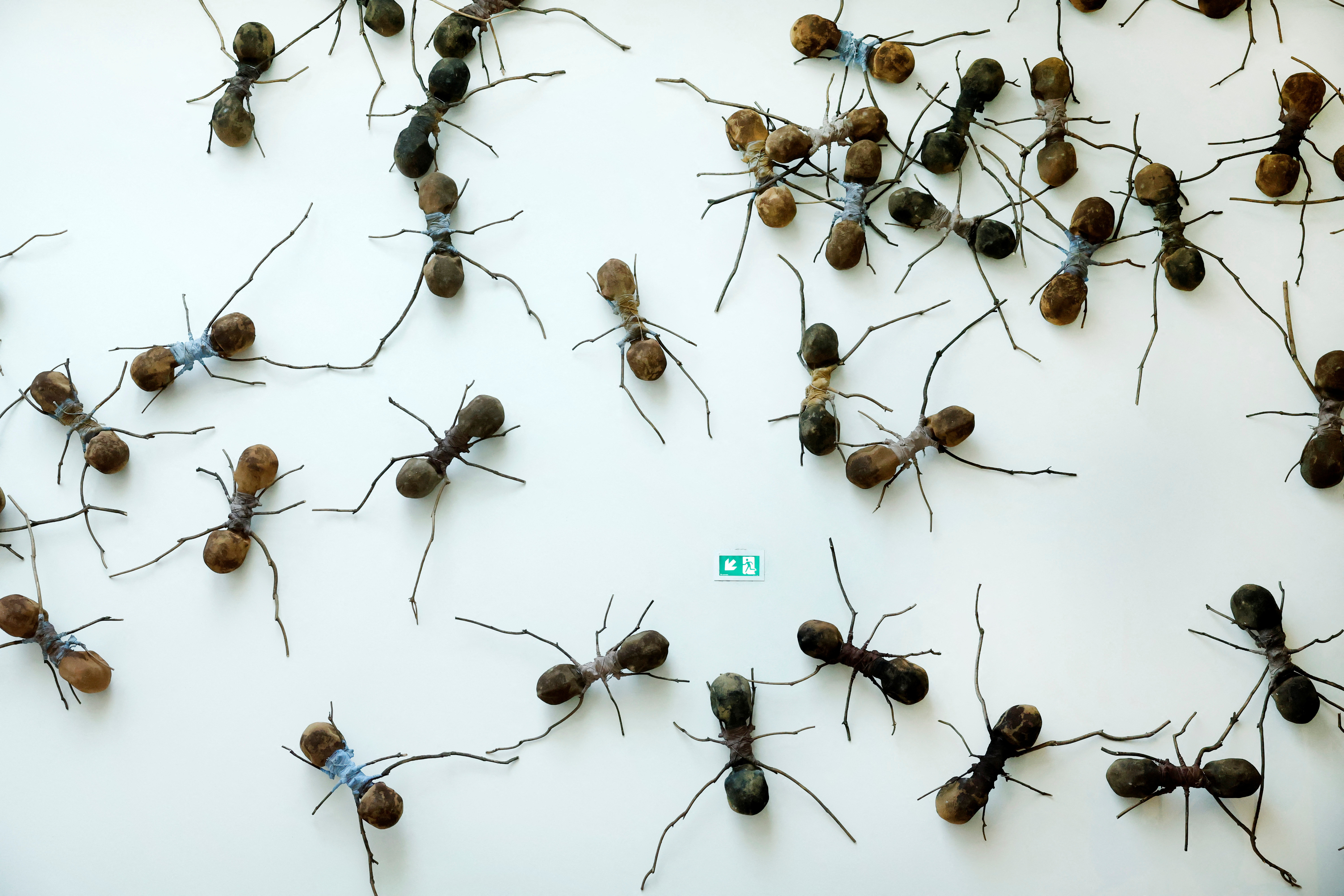 Giant Ants : r/Cryptozoology