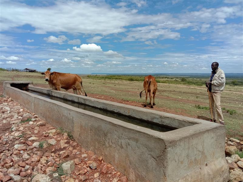 Pastoralist Barsapei Nampaso takes his animals to a drinking trough in Enonkishu Conservancy, near Olchoro Orok village, Kenya, April 19, 2022. Thomson Reuters Foundation/Wesley Langat