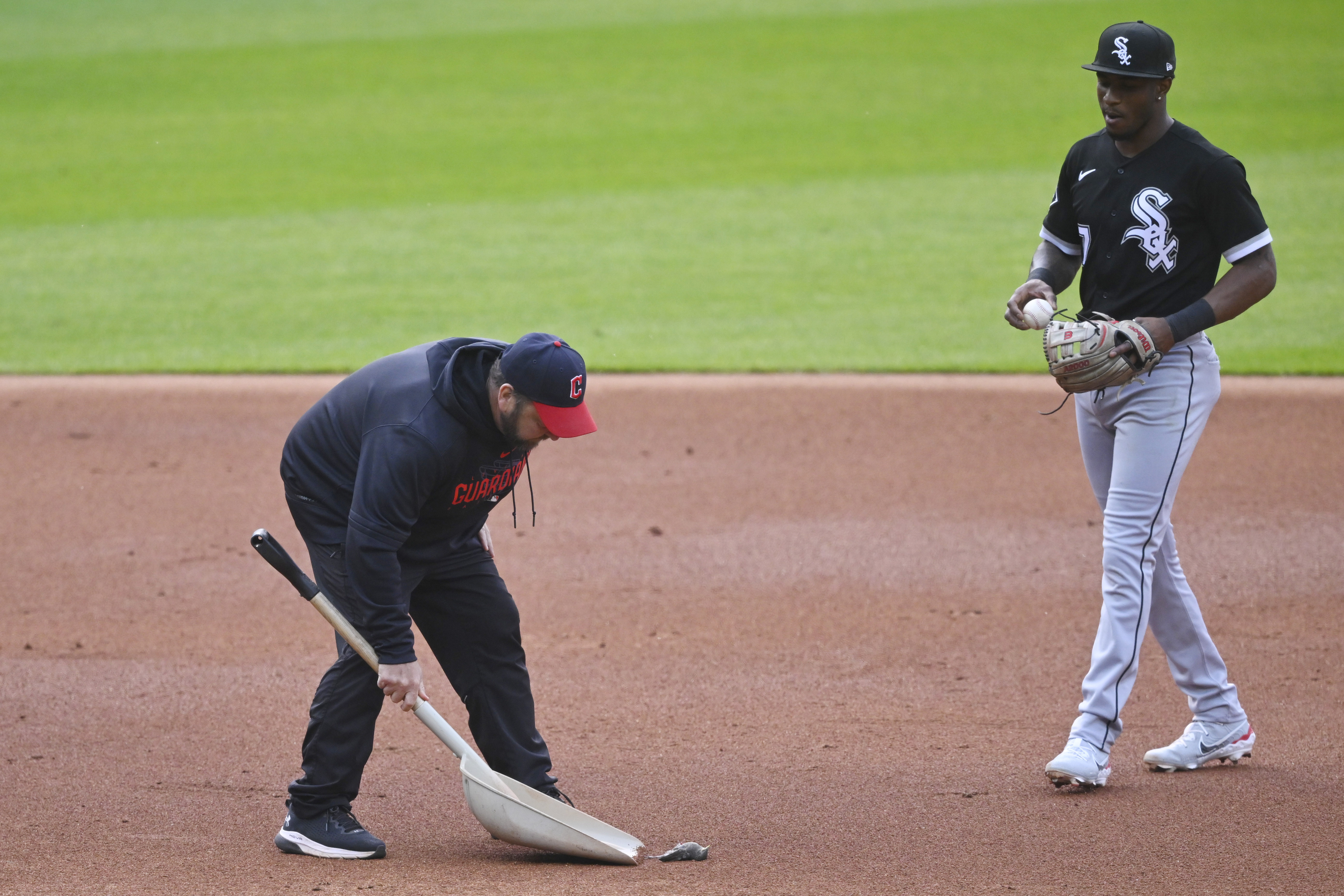 Go figure: White Sox blanked by Gaddis, Guardians - Chicago Sun-Times