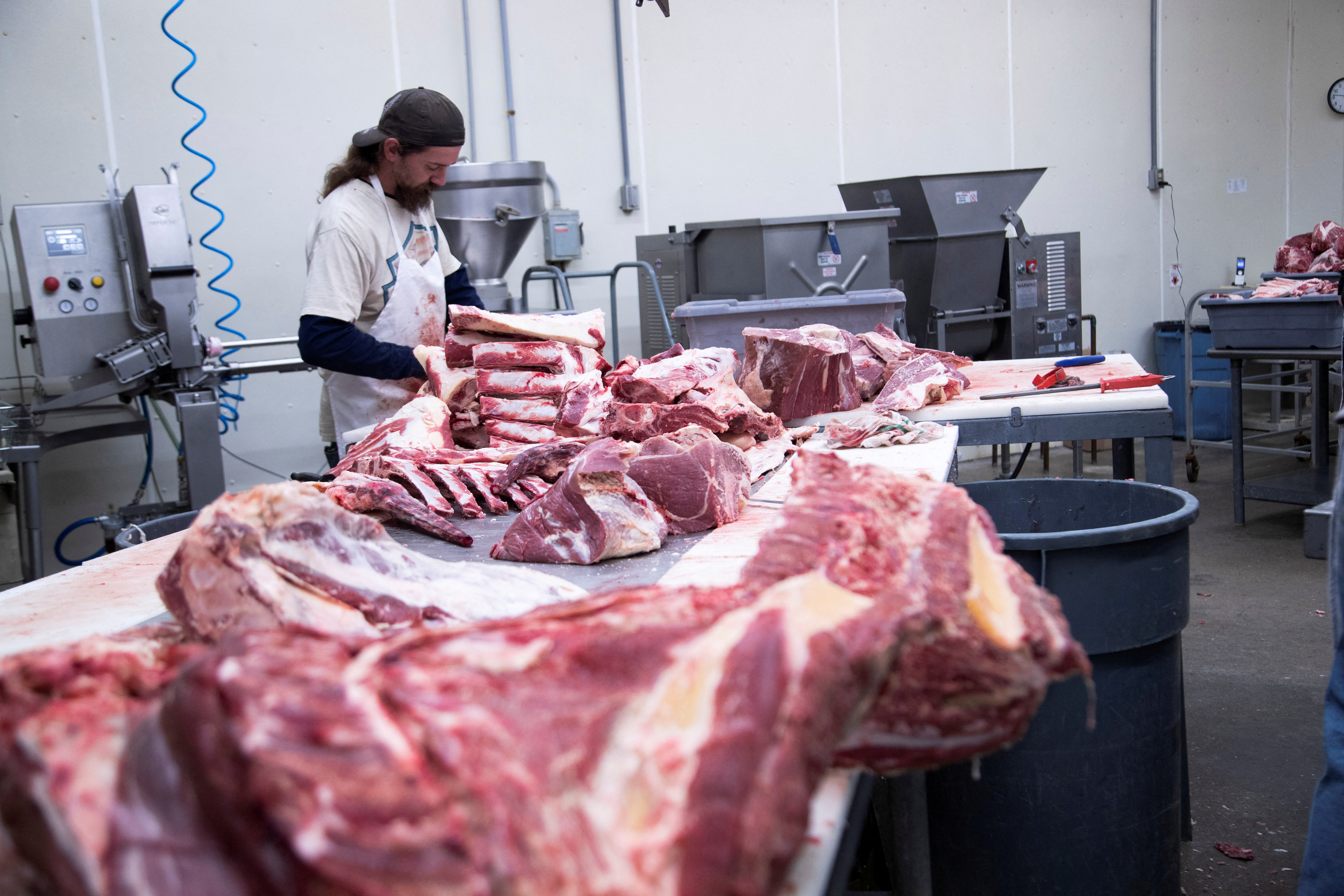 Employee cuts fresh beef meat into large pieces at a meat processing plant in Indiana