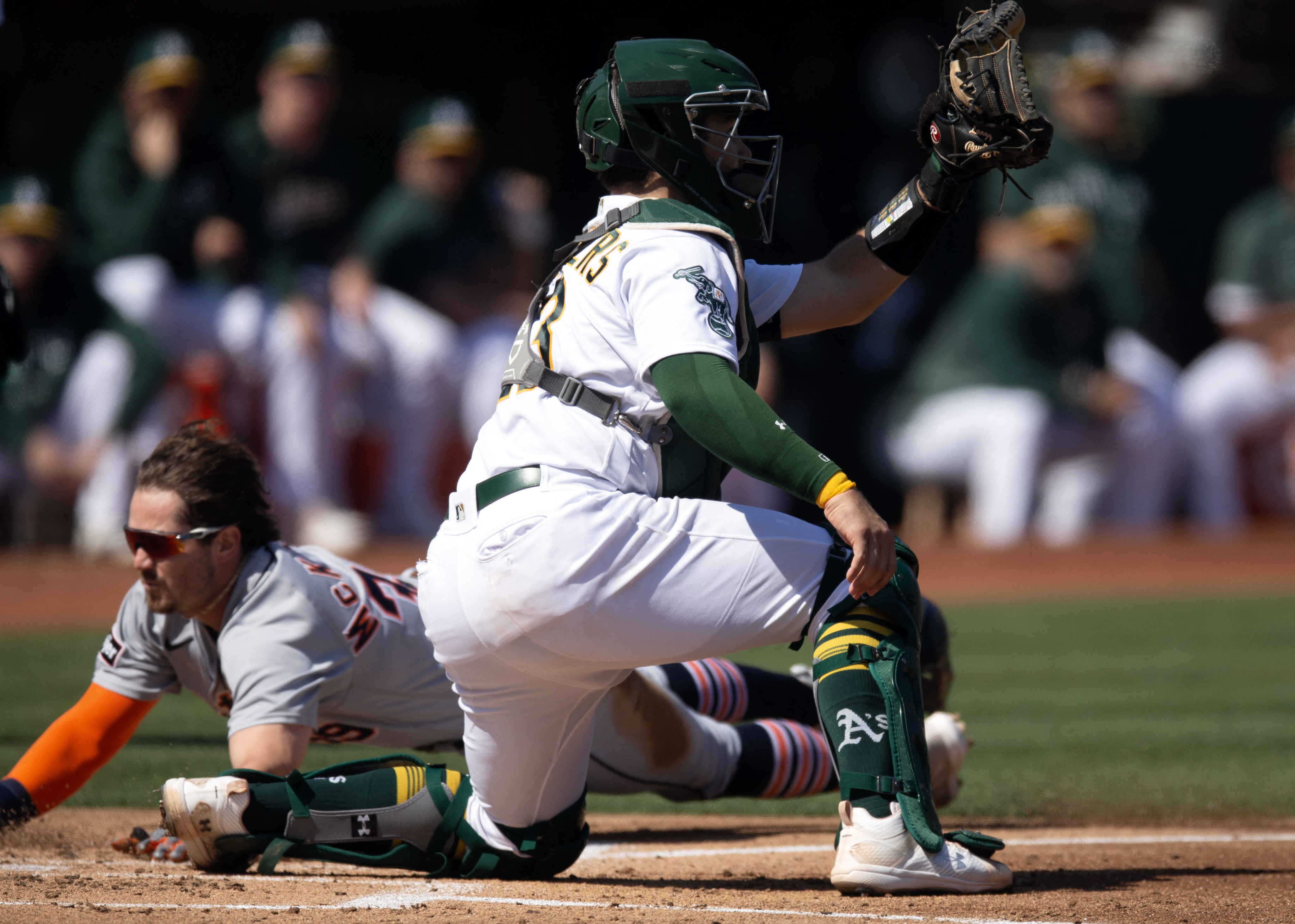 MLB: St. Louis Cardinals defeat Oakland Athletics