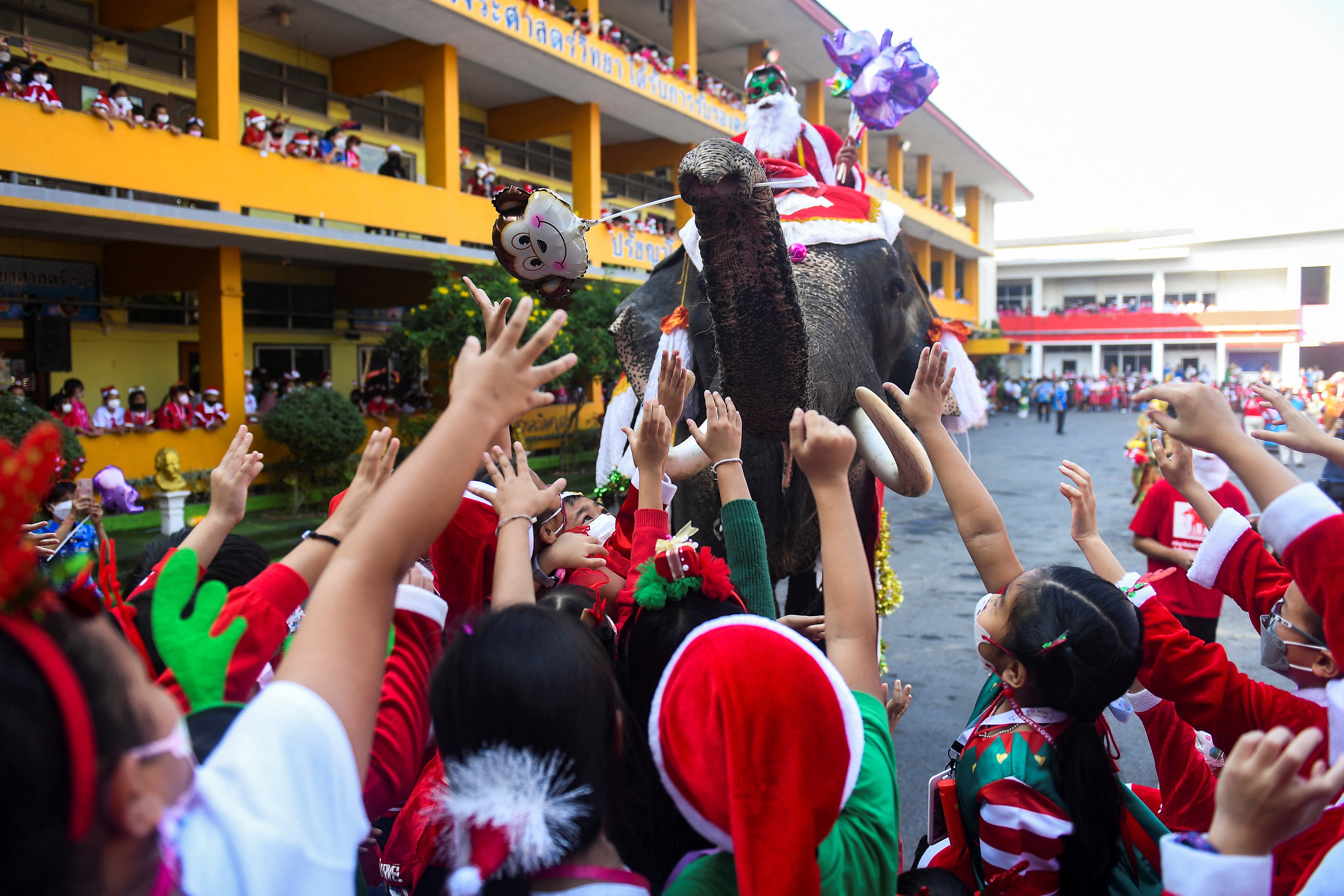 Elephants in Santa Claus costumes visit a school in Ayutthaya