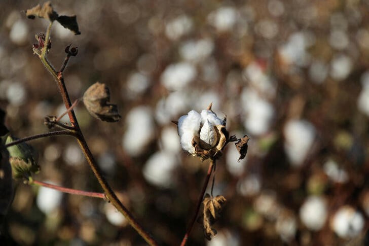 A Greek cotton yarn producer cuts output as energy crunch hits European knitting industry