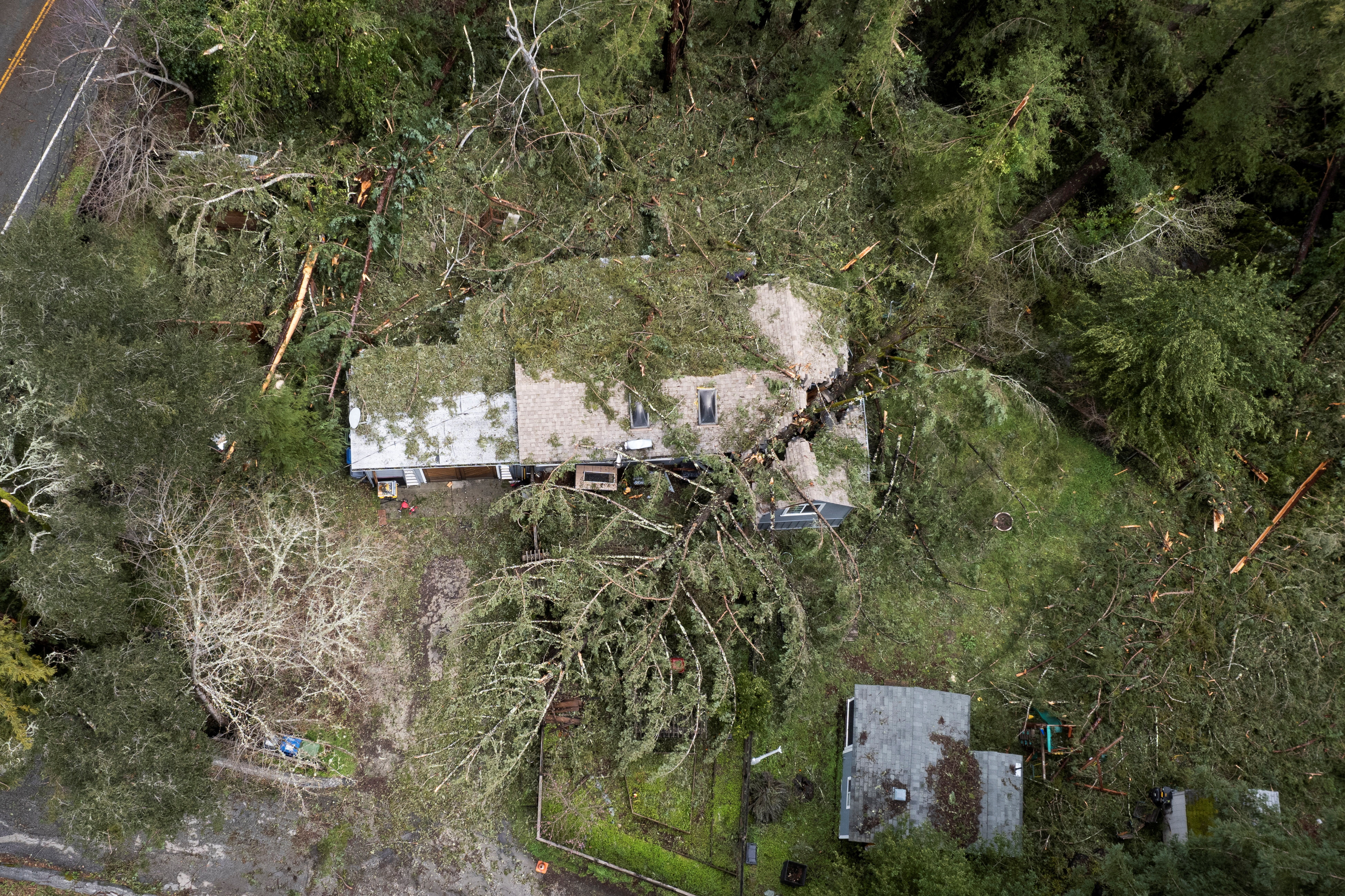 An aerial view of fallen trees after a severe windstorm in Boulder Creek, California
