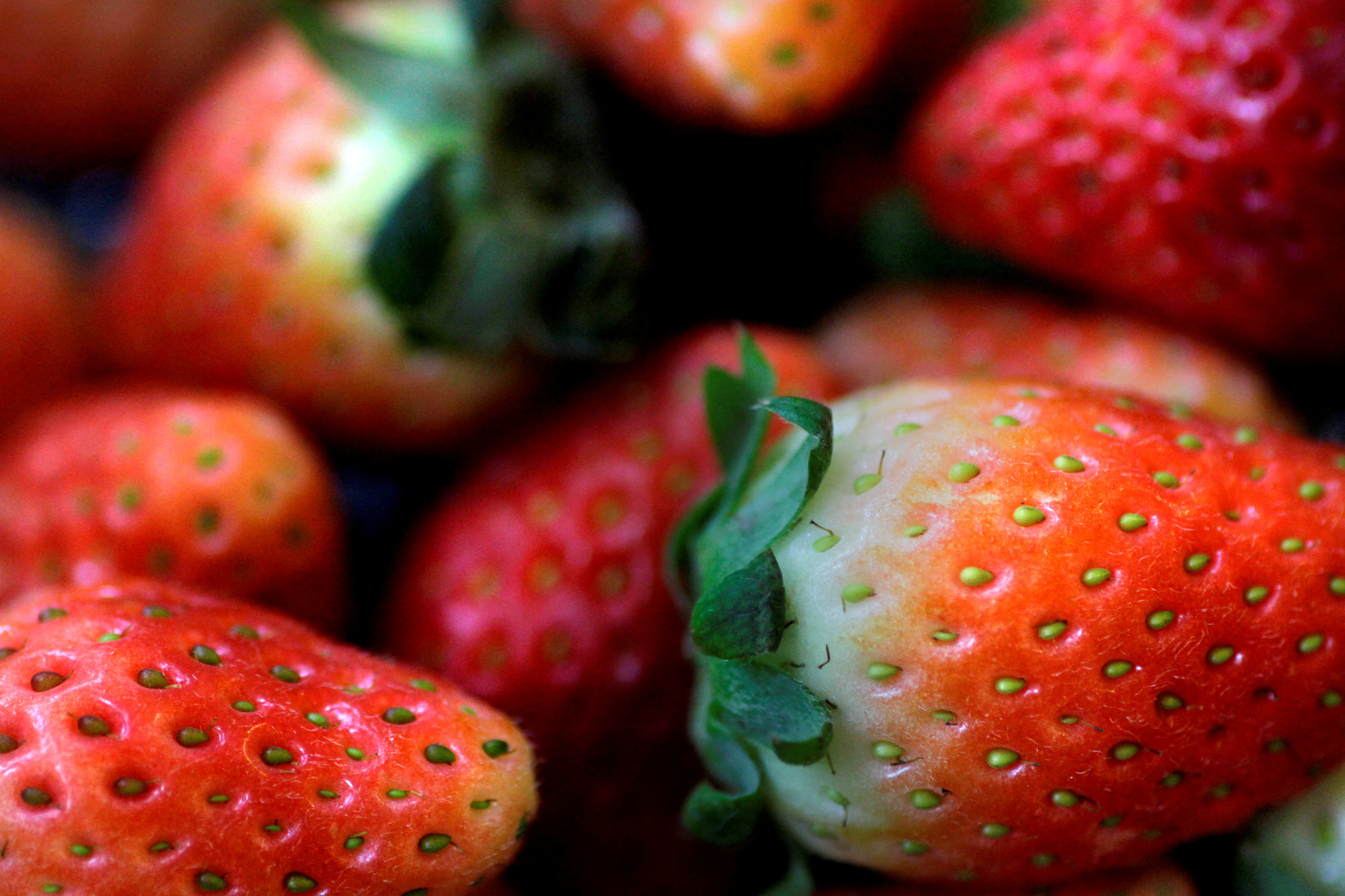 Illustration photo of strawberries