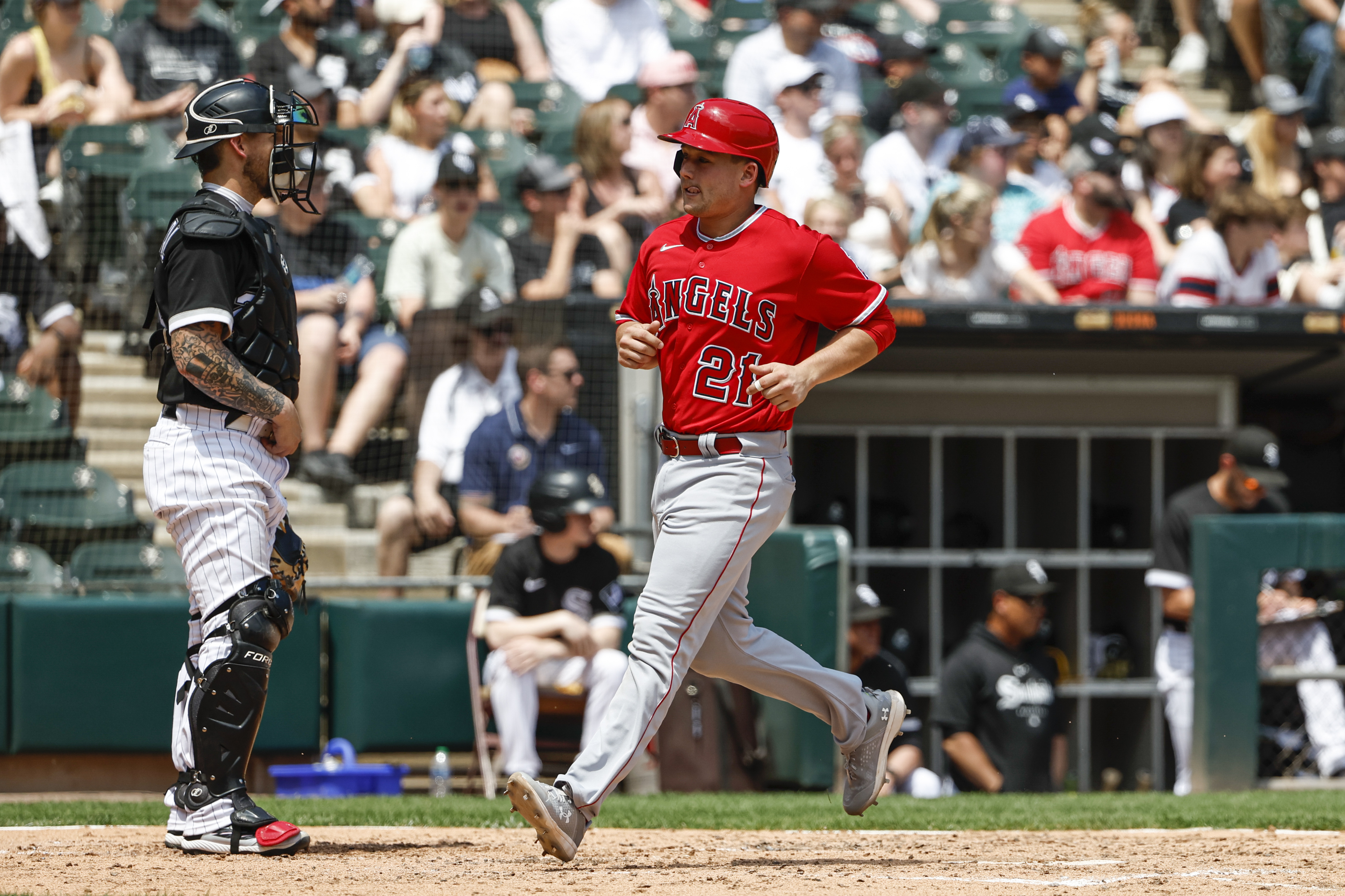 Shohei Ohtani homers twice as Angels rout White Sox - Los Angeles