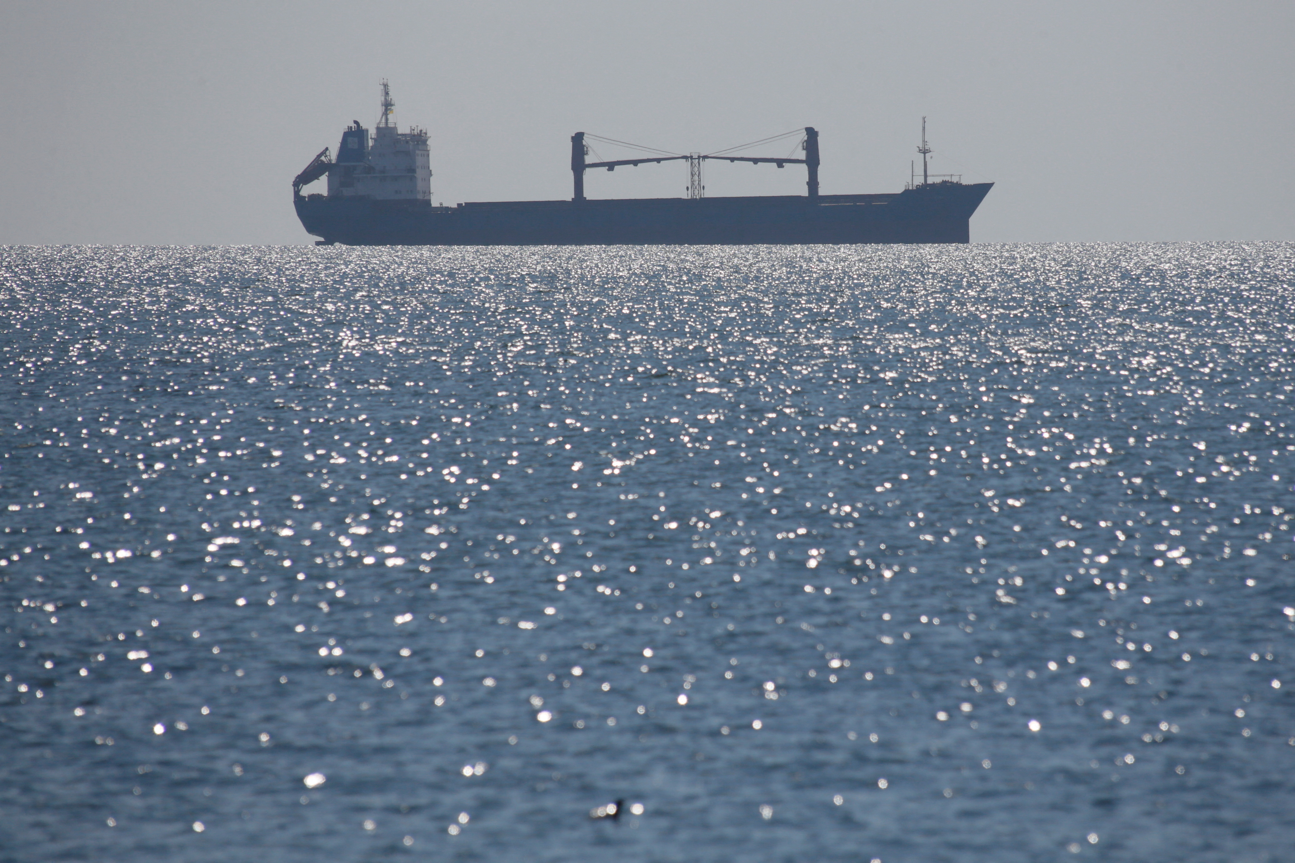 Ship is seen near Pivdenny sea port outside Odessa