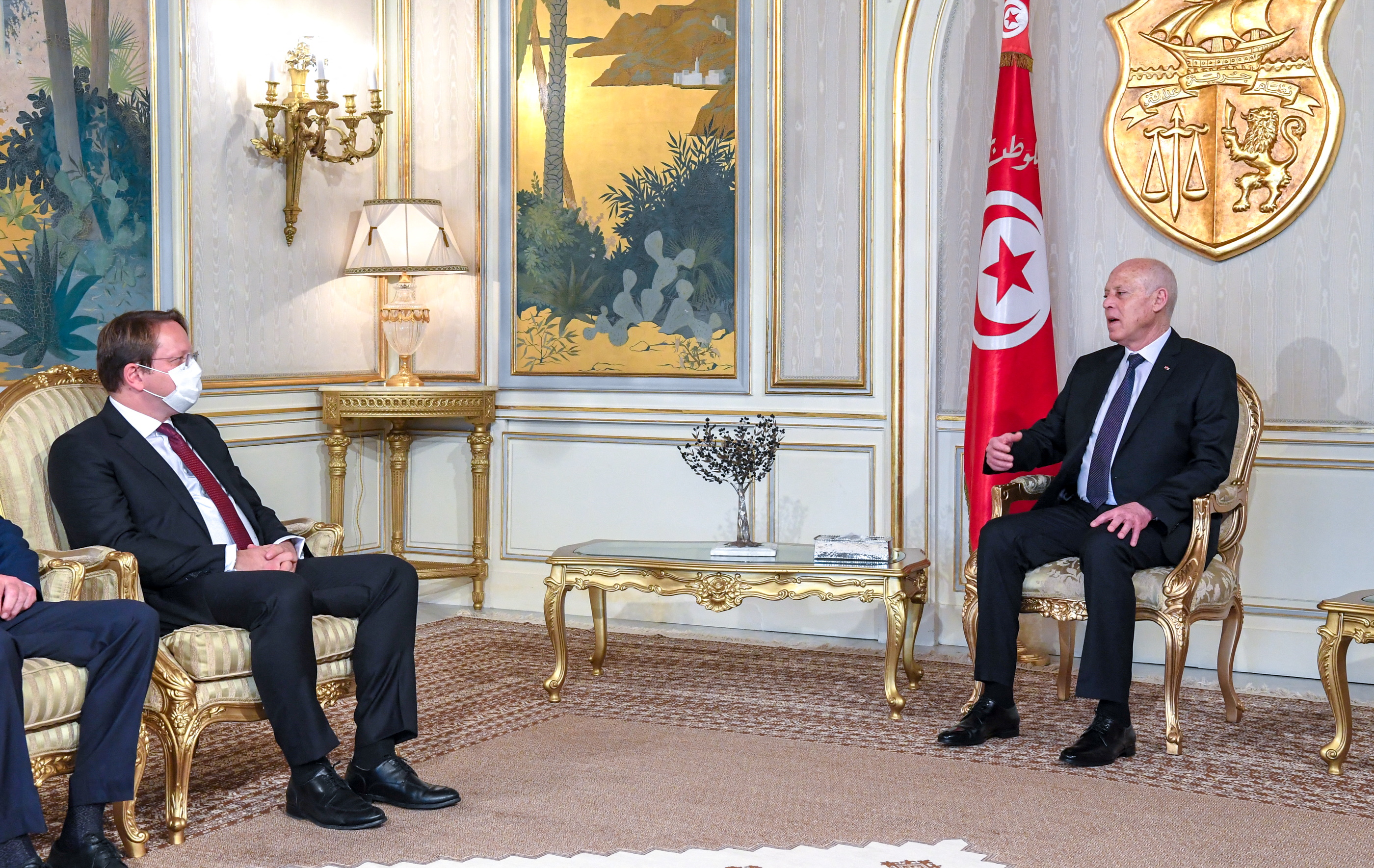 Tunisia's President Kais Saied meets with EU commissioner for enlargement, Oliver Varhelyi, in Tunis