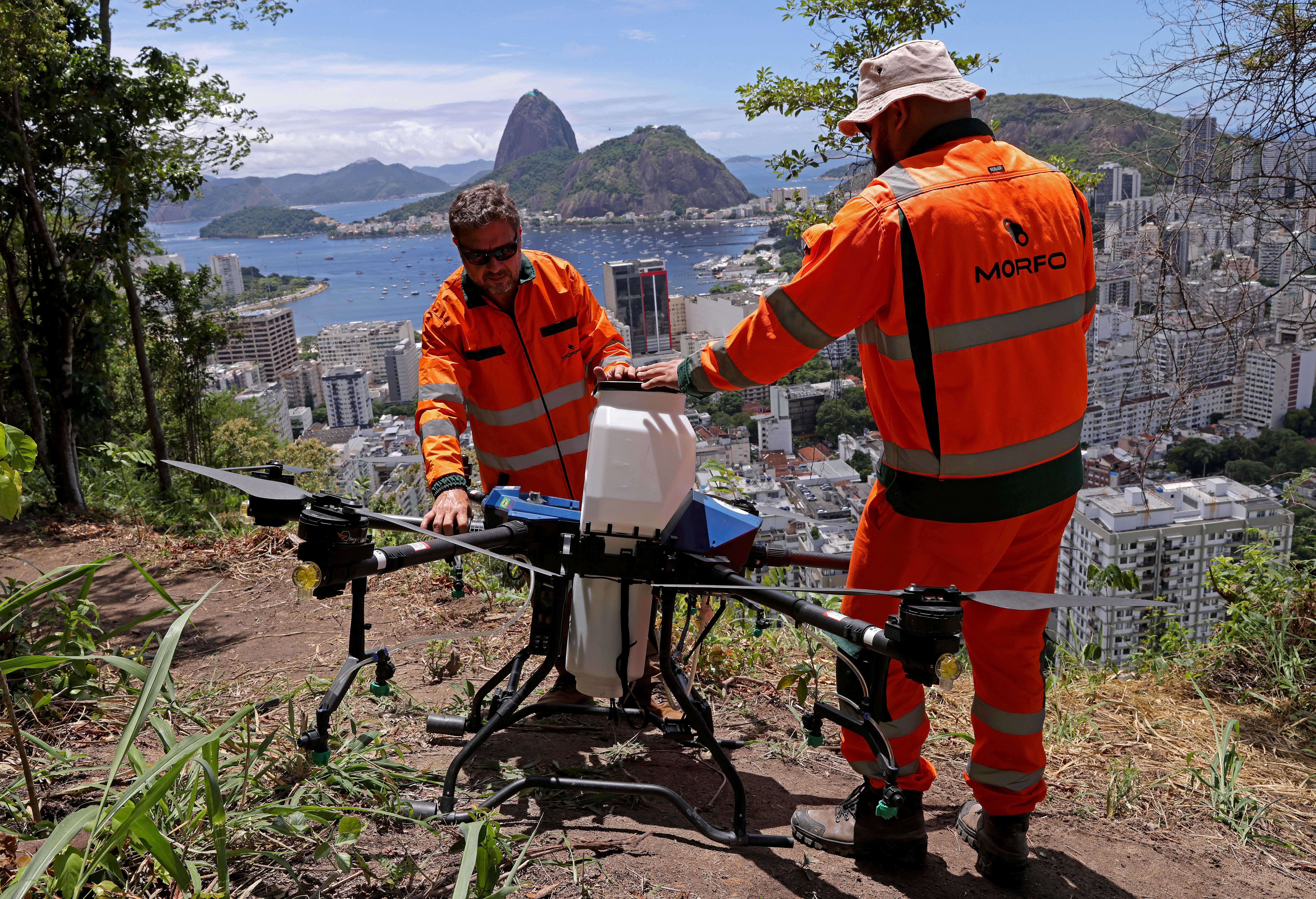 In Brazil, drones take flight in Rio in high-tech reforestation push | Reuters