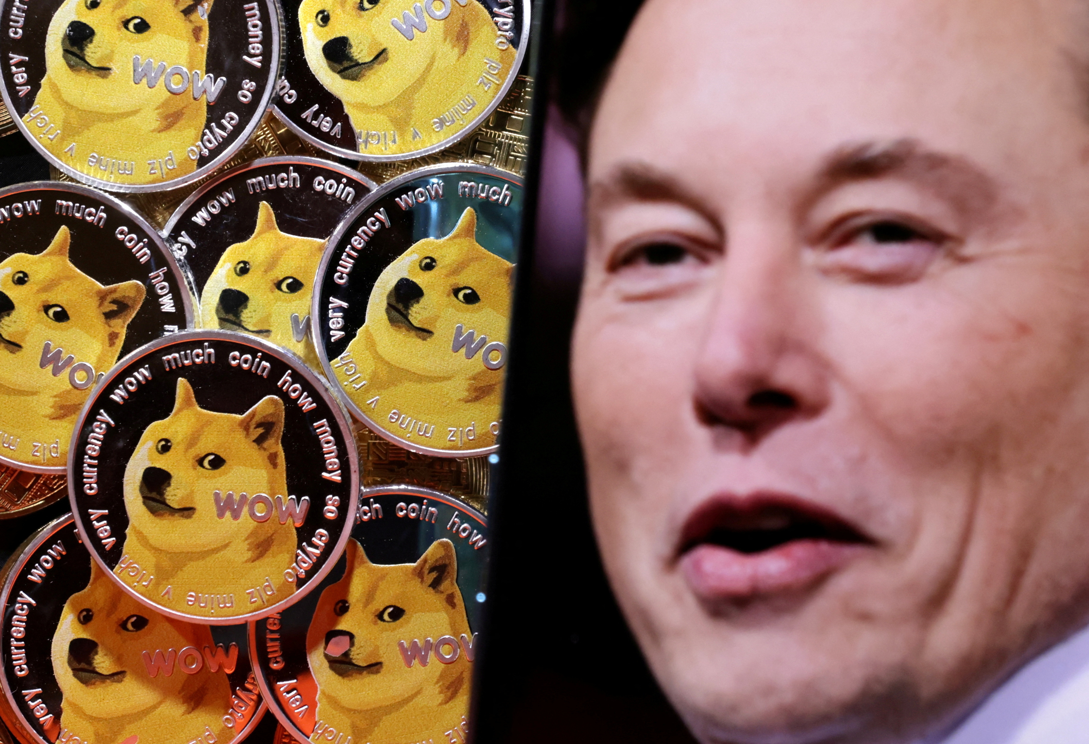 The illustration shows Elon Musk and representations of the Dogecoin cryptocurrency