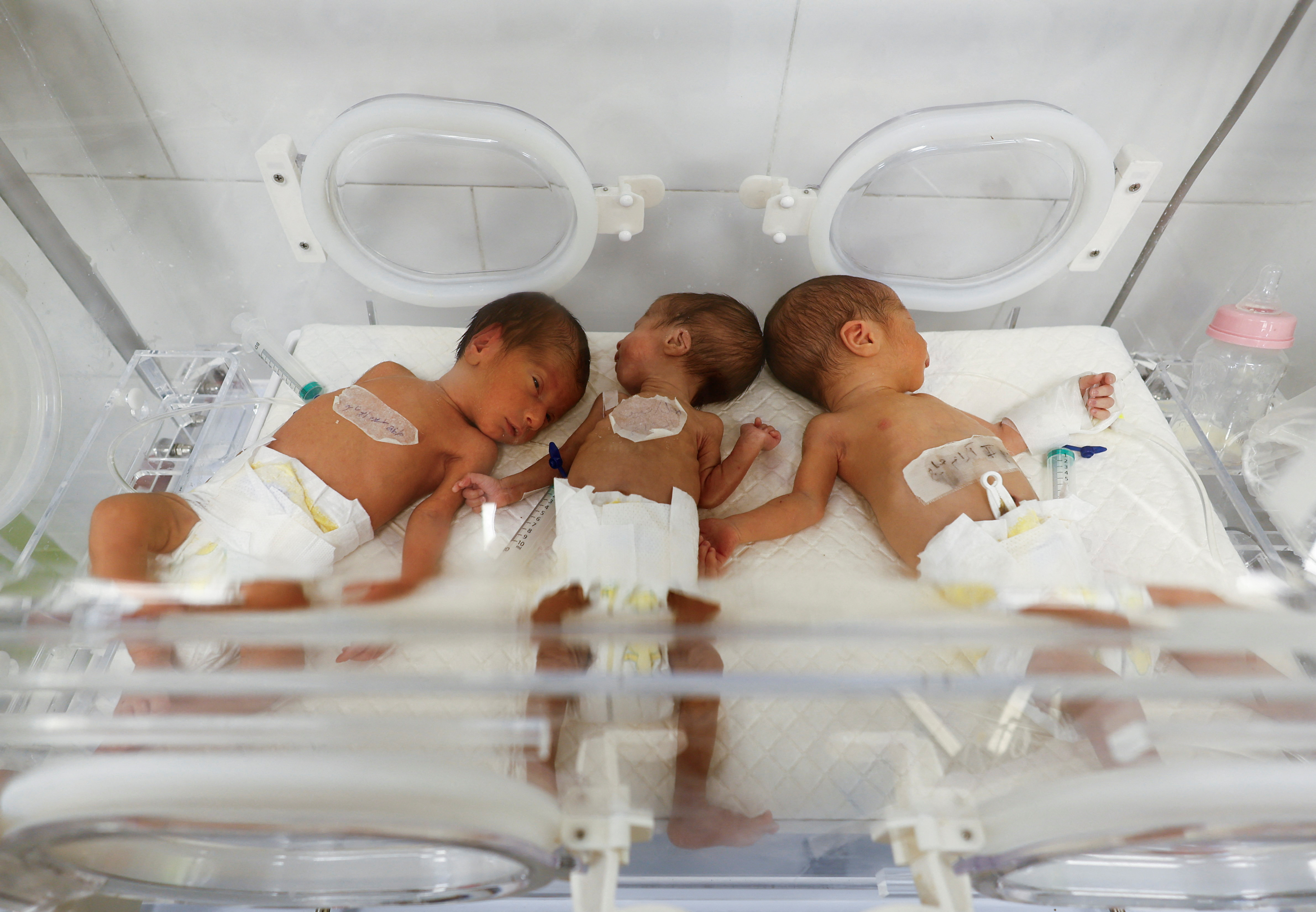 Palestinian babies lie in one incubator due to the limited capacity at the newborns' intensive care unit at Al-Emirati hospital in Rafah in the southern Gaza Strip