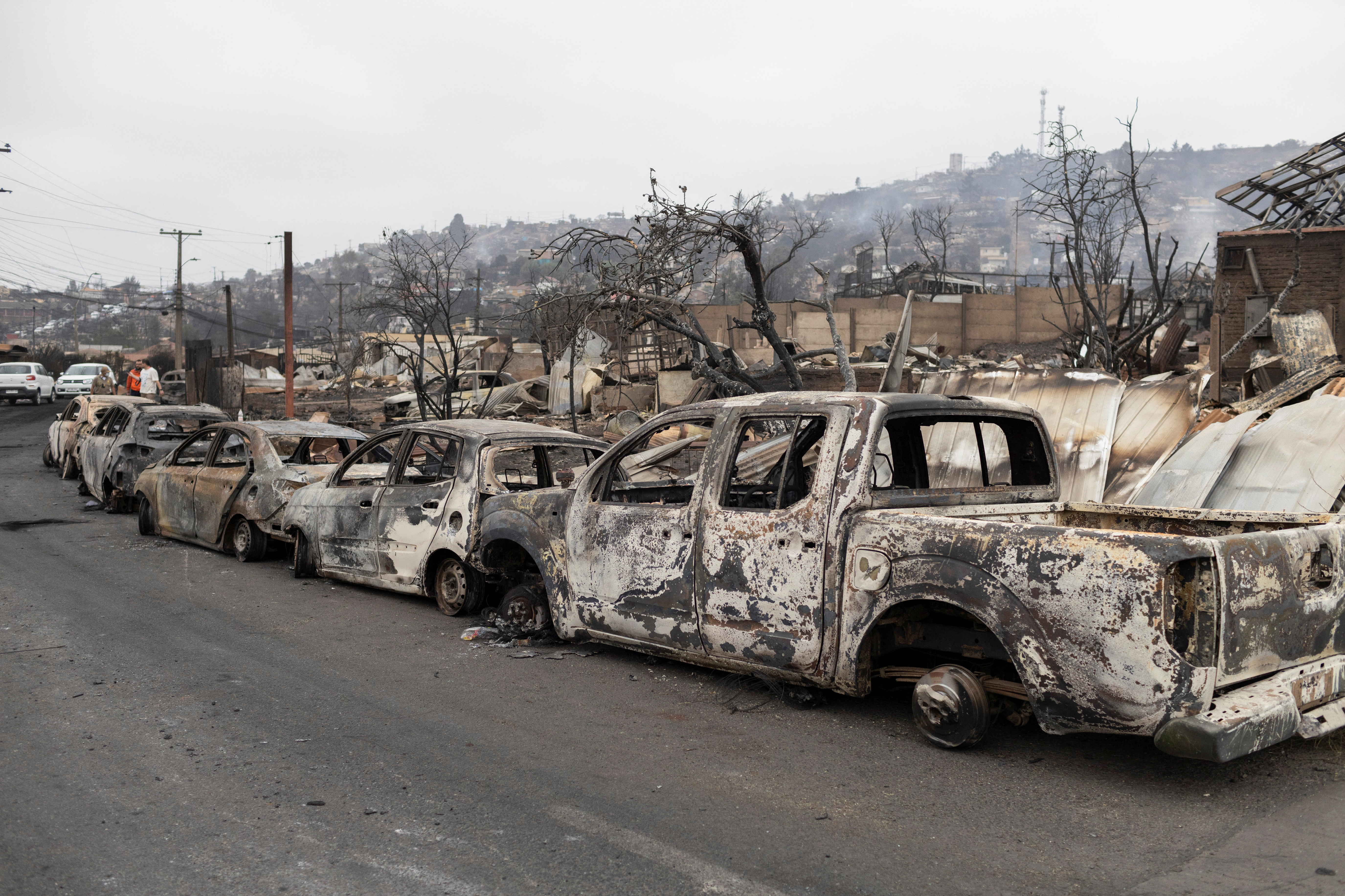 Люті лісові пожежі стали смертельними в Чилі