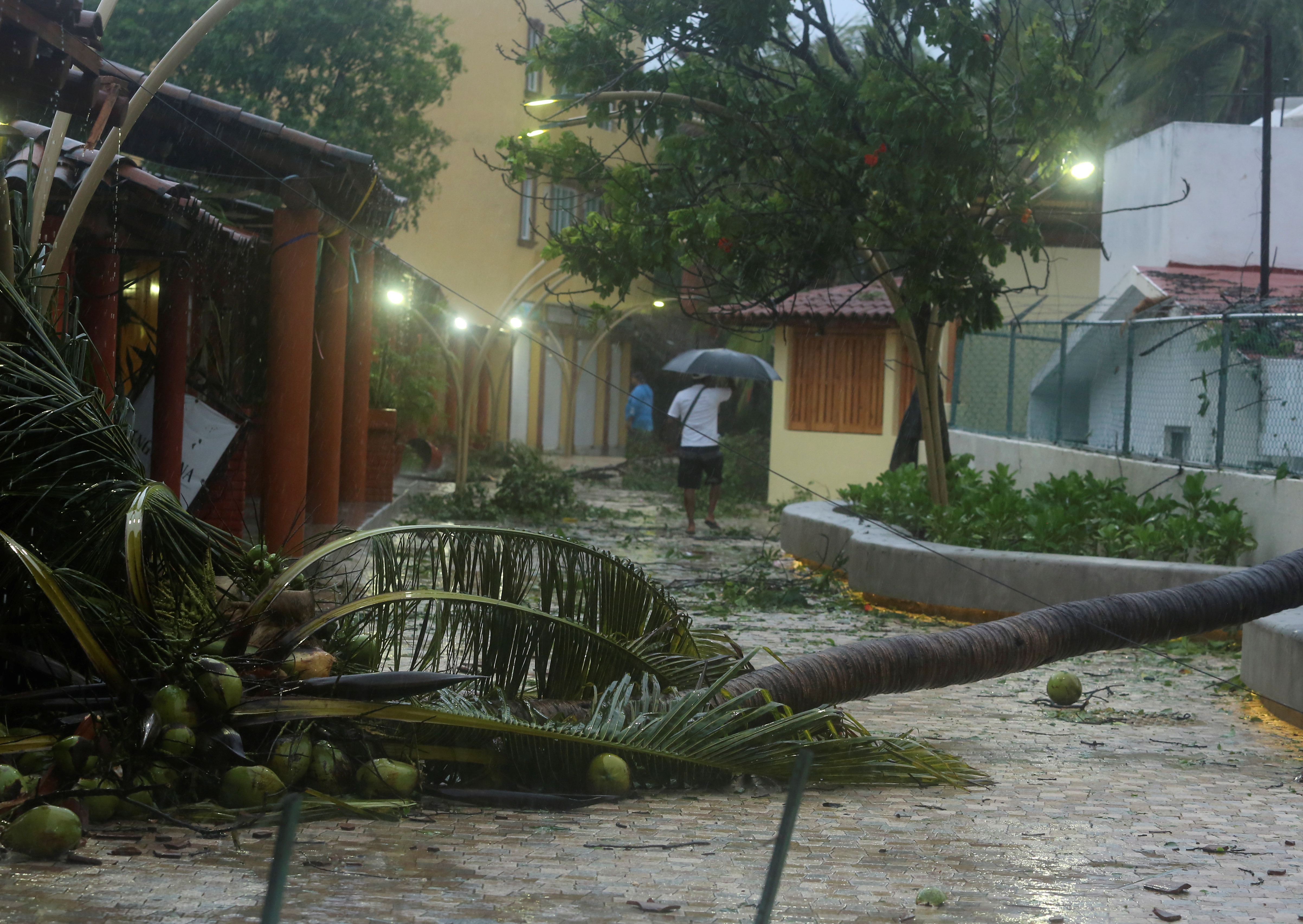 A man under an umbrella walks along the street with fallen trees after Hurricane Rick hit in Zihuatanejo, in Guerrero state, Mexico October 25, 2021. REUTERS/Javier Verdin