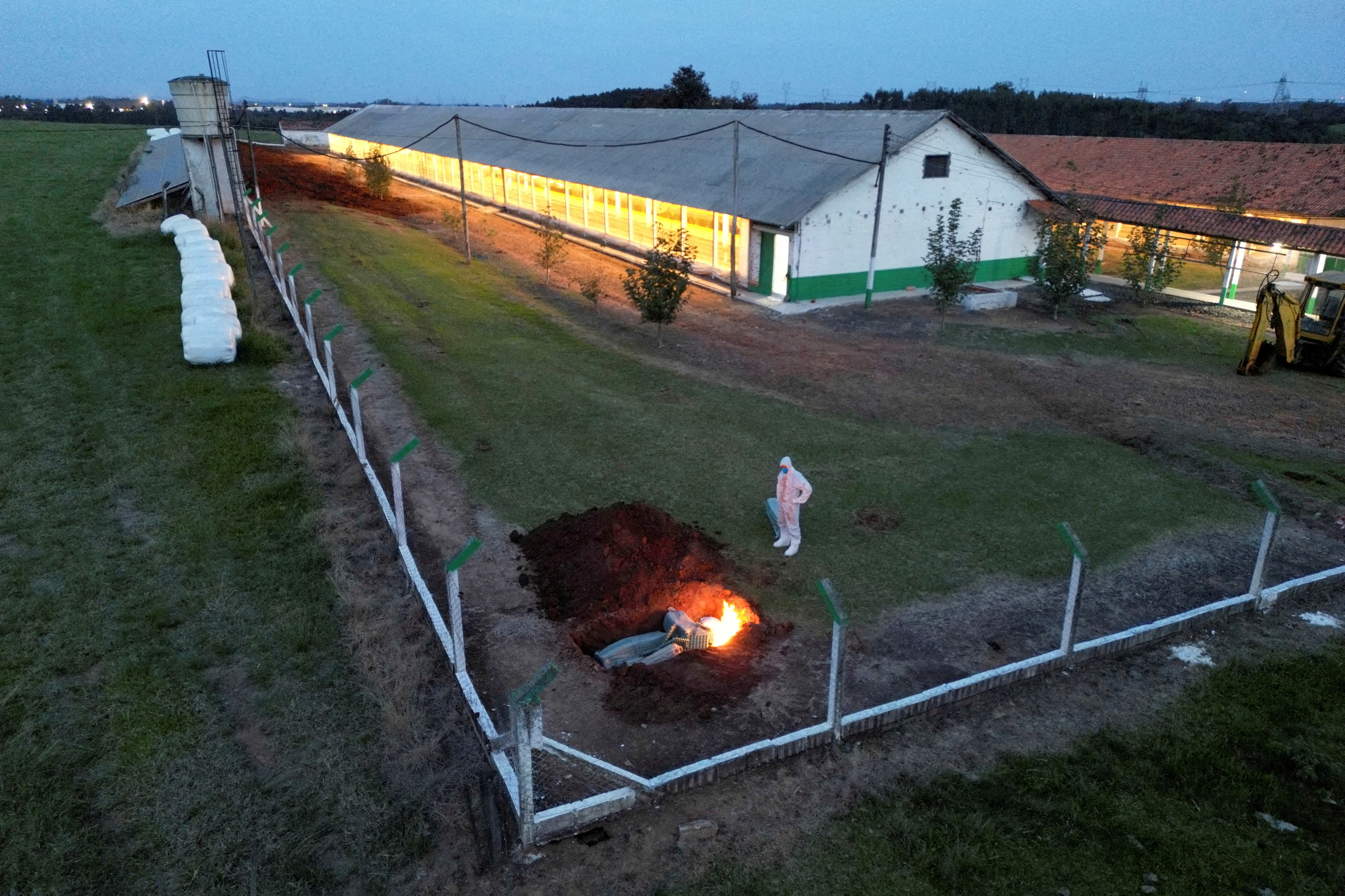 中国、ブラジル産鶏肉の輸入全面禁止 鳥インフル発生に対応 | ロイター