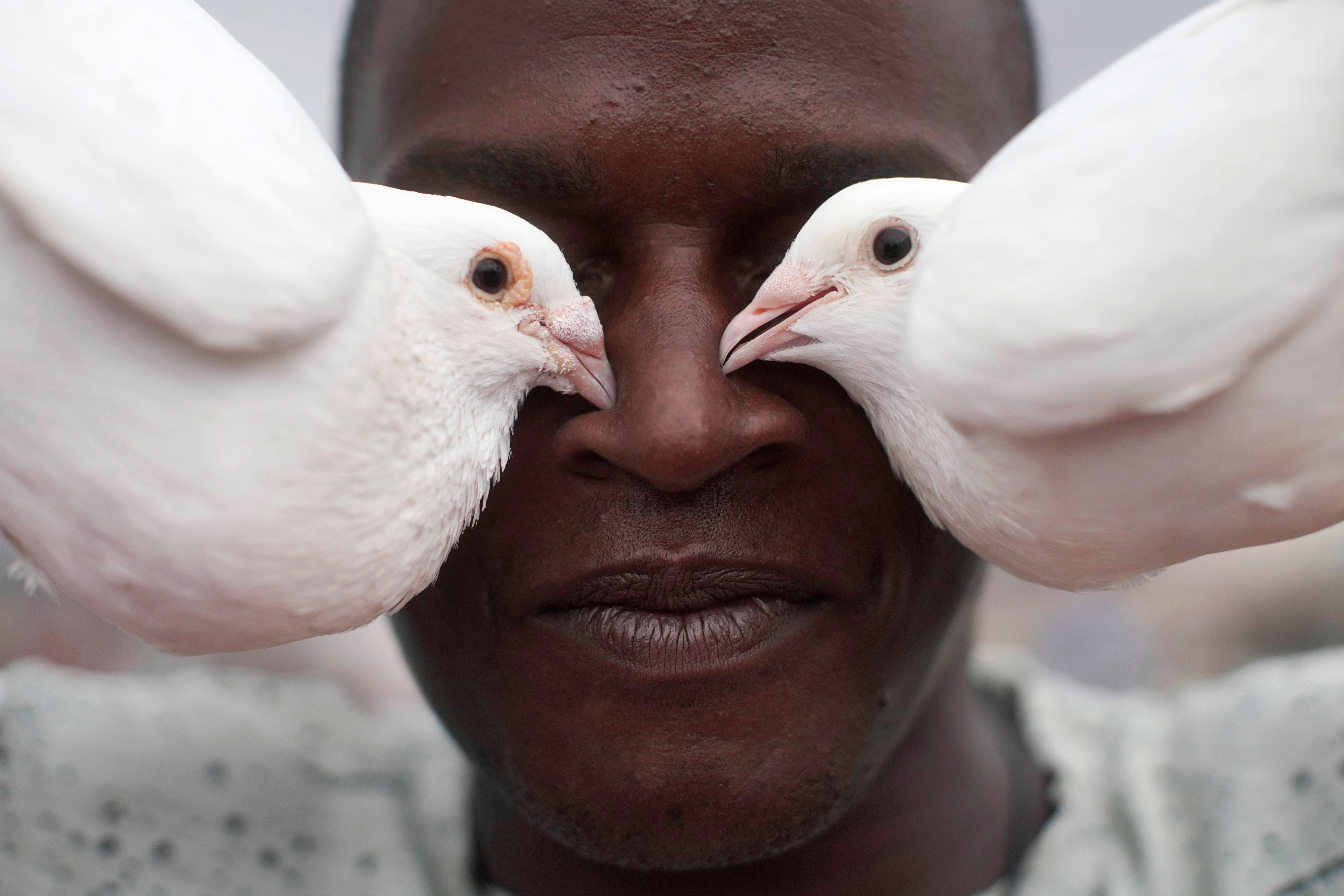 Cubans turn to pigeon breeding as an escape from COVID-19 | Reuters