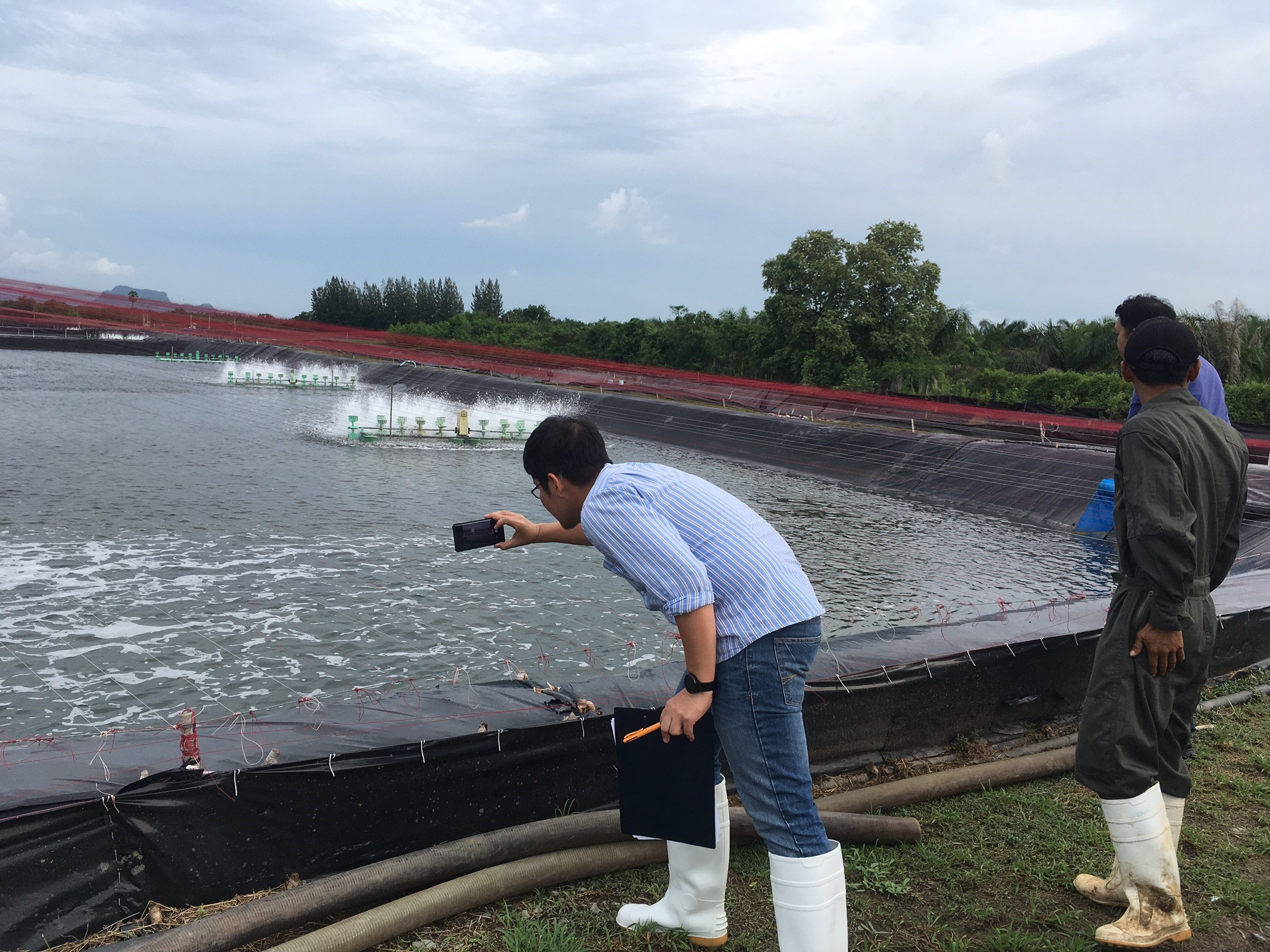 A shrimp farm in Thailand being assessed for compliance with the Seafood Task Force Social Code of Conduct.