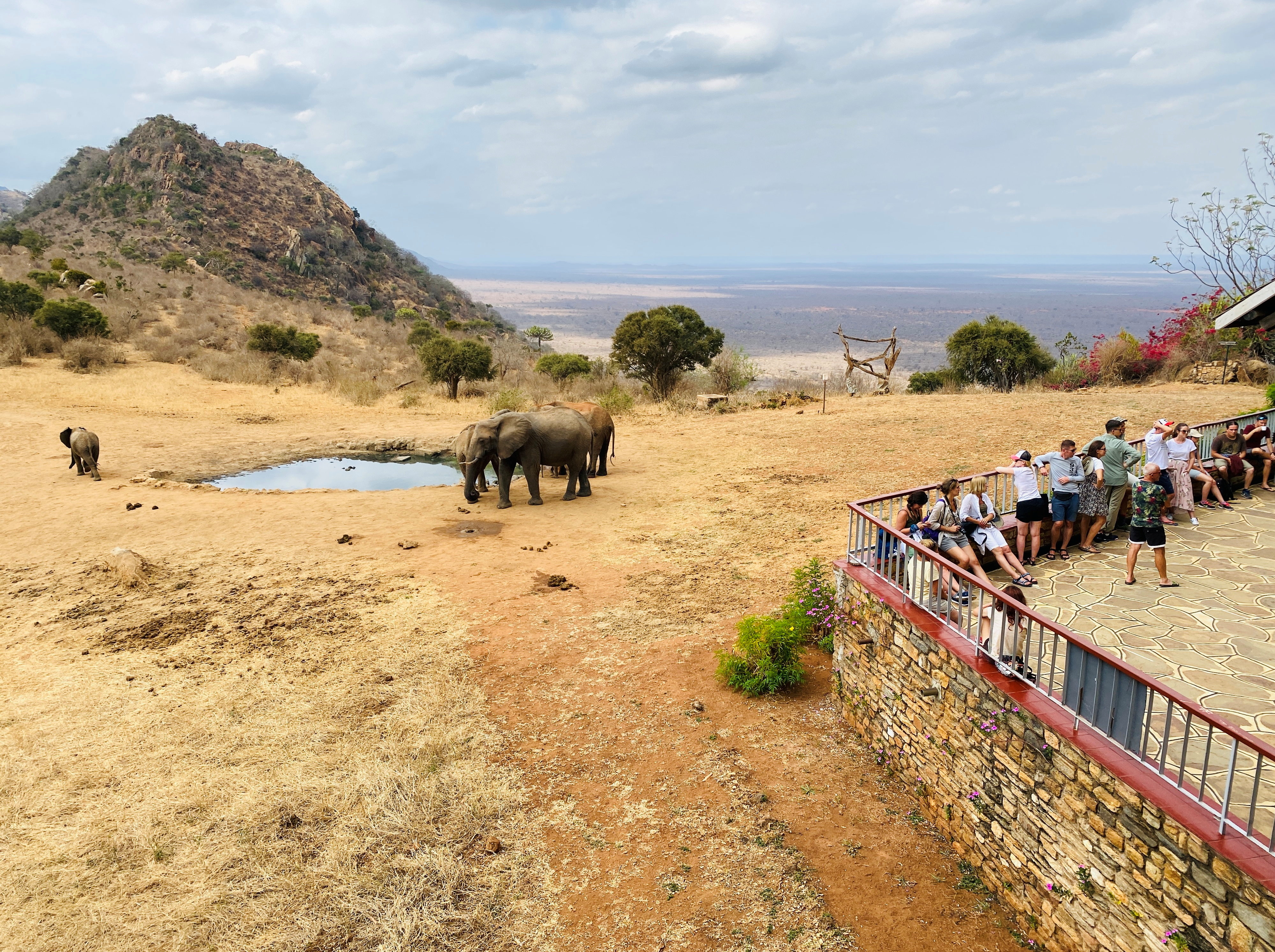 Elephants are seen as tourists visit Tsavo West National Park