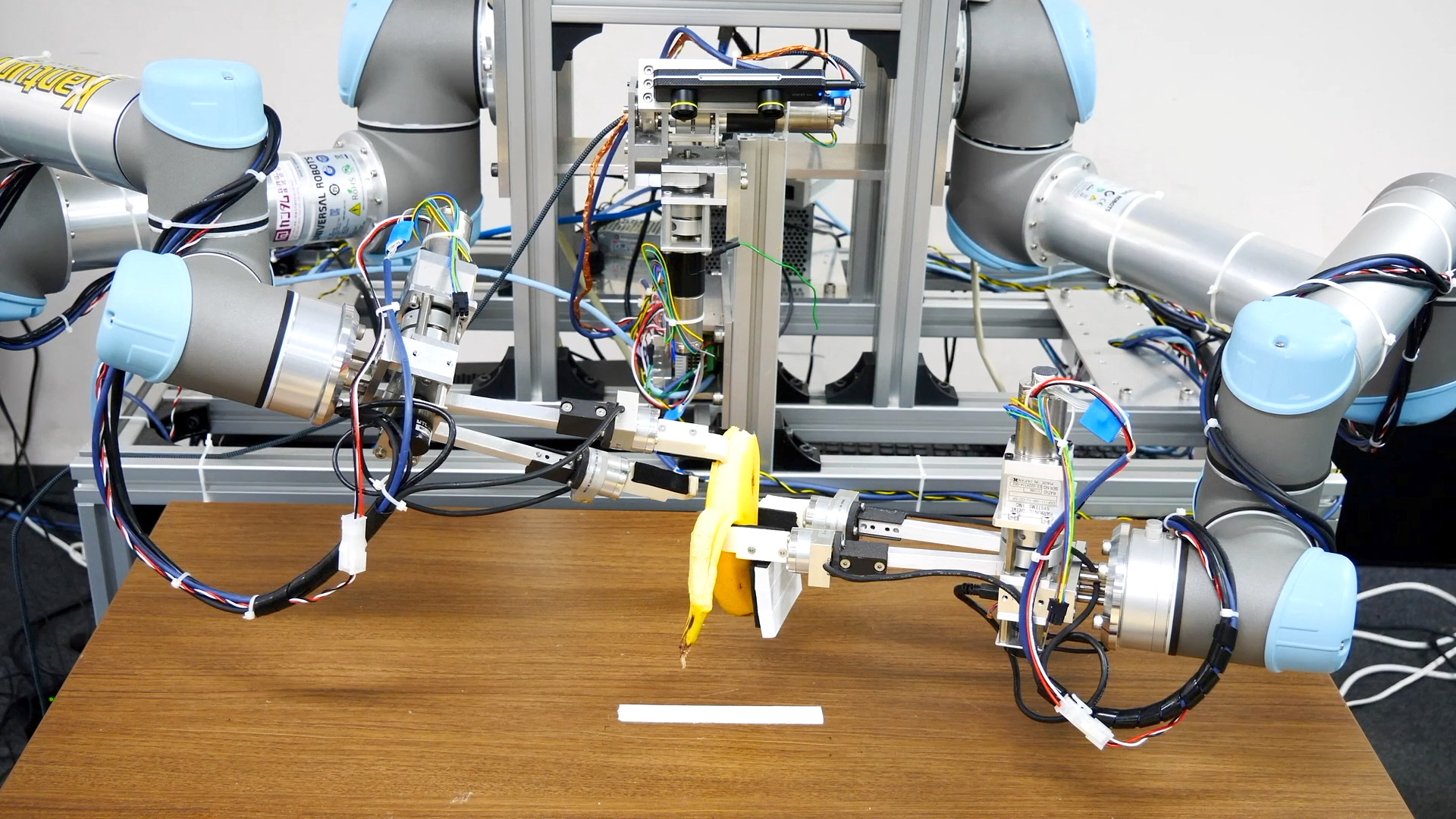Dual-armed robot picks up banana and peels it without squashing the fruit in Tokyo