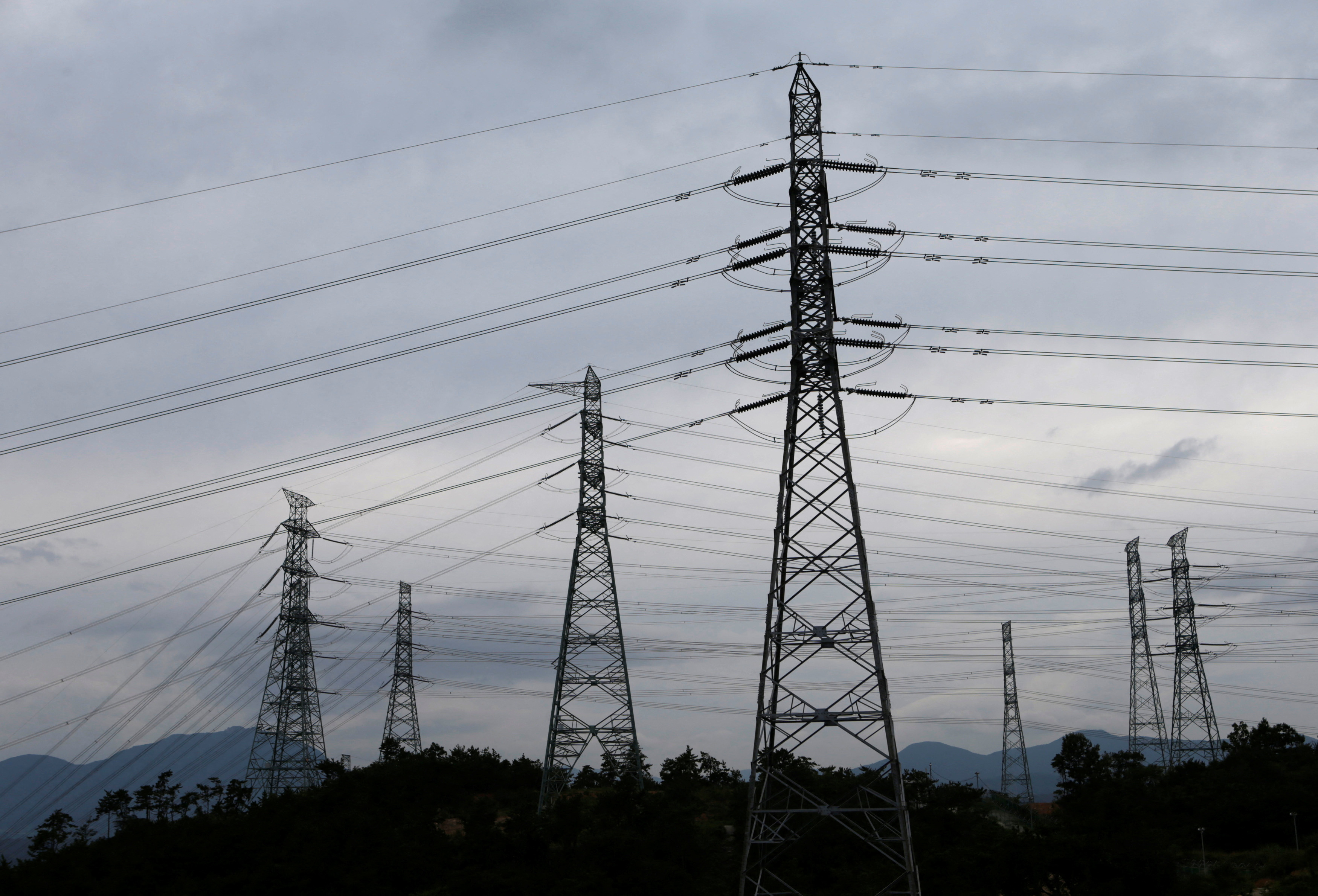 Losses may force Japanese, S. Korean utilities to delay green