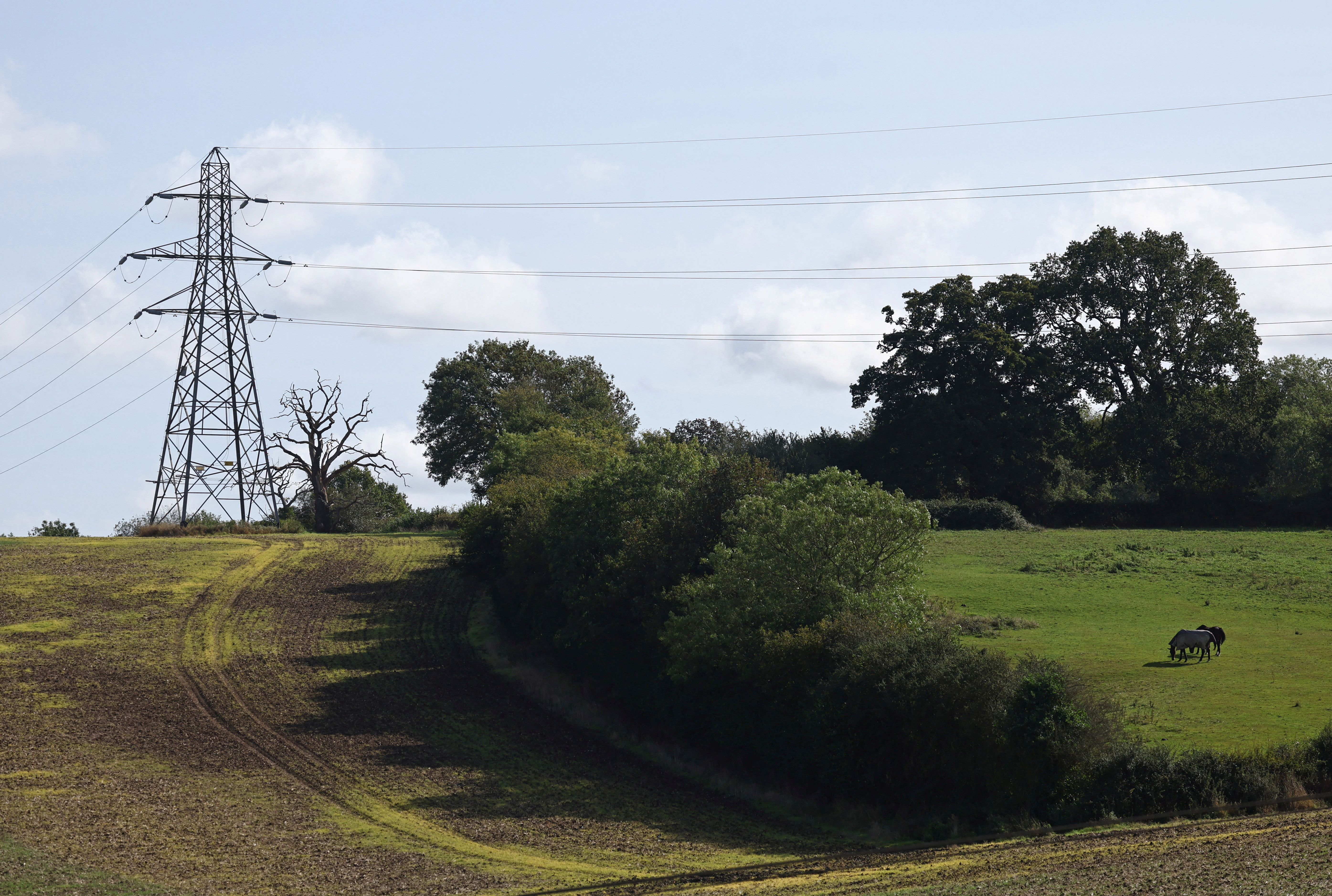 Electricity pylons run through fields near Amersham