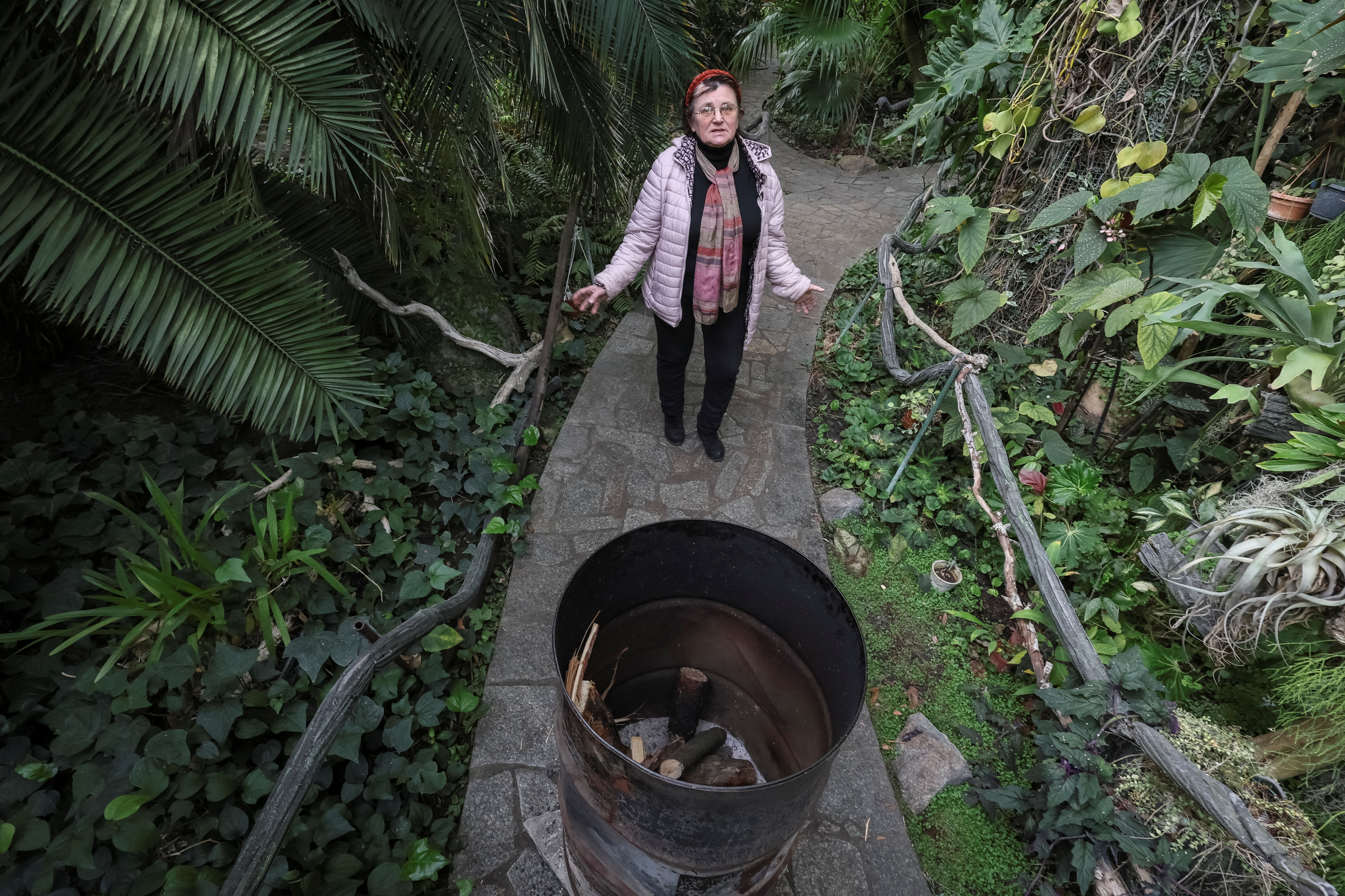 A tropical greenhouse suffering from low temperatures in botanical garden after critical energy infrastructure was hit by a Russian military attacks in Kyiv