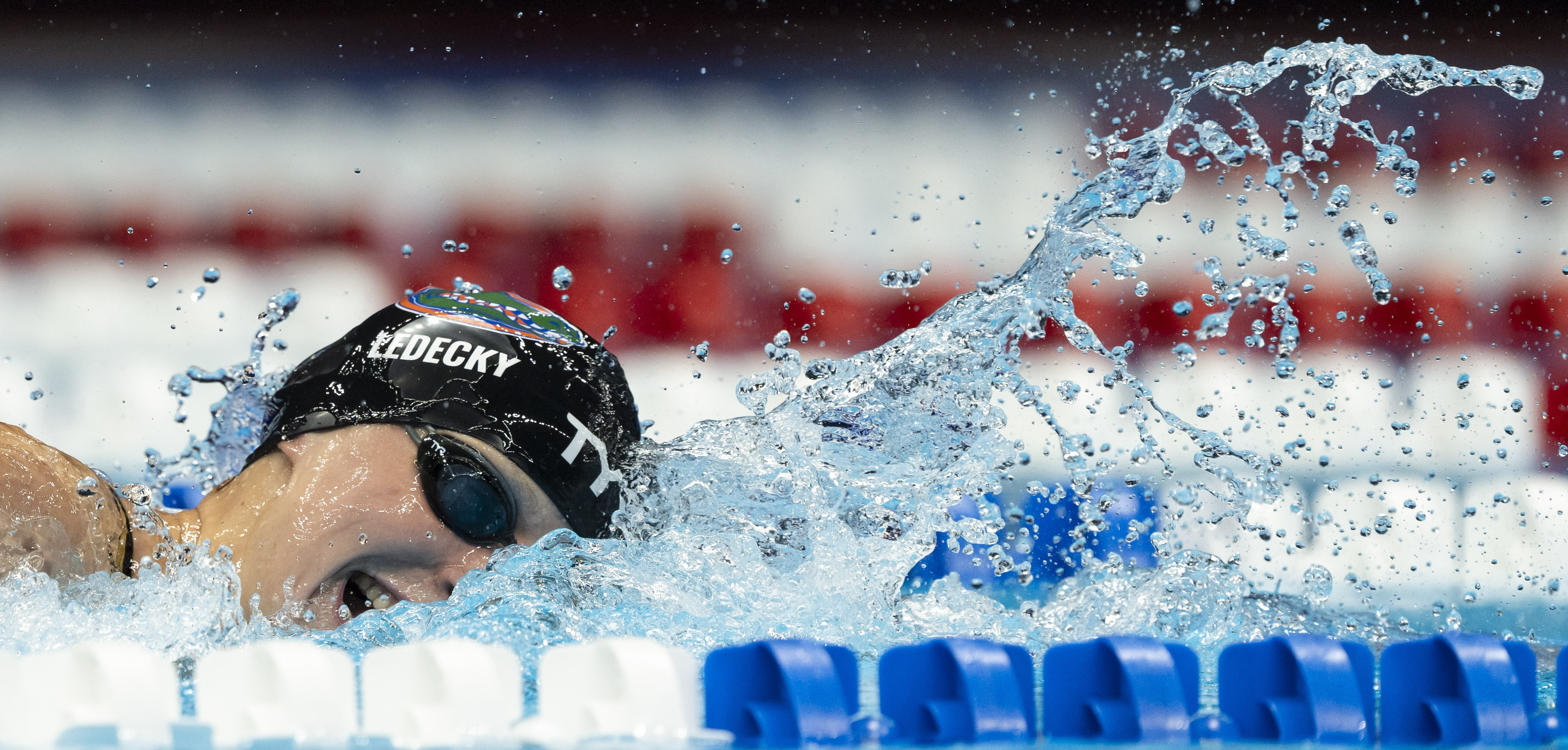 Ledecky continues domination of 1,500m freestyle at US trials | Reuters