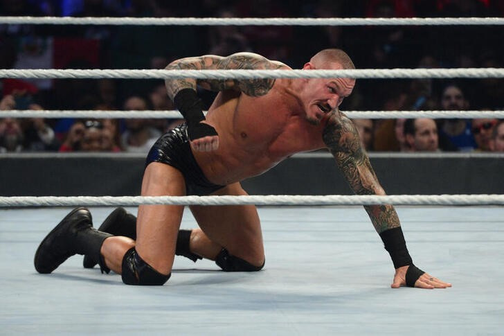 Randy Ortan Xxx Fuckd - WWE, video-game maker owe artist for depicting wrestler's tattoos, jury  says | Reuters