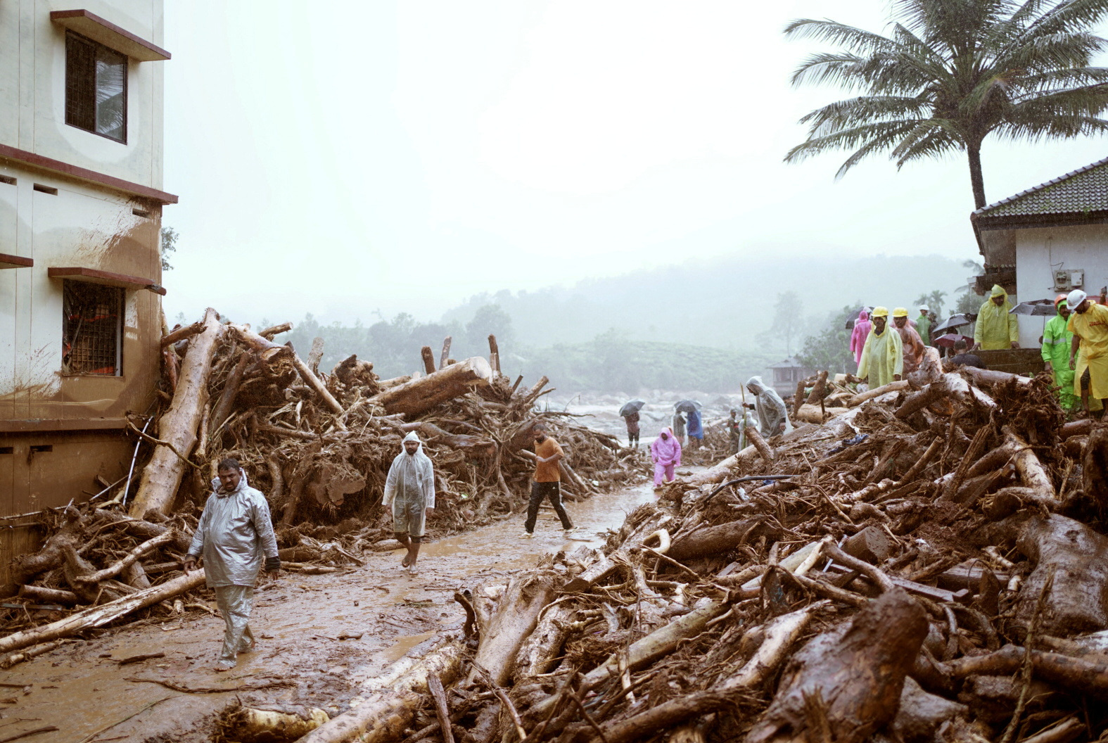 Hopes of finding survivors fade in India's Kerala after landslides kill ...