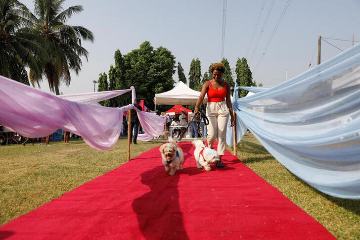 Dog show teaches Nigerians new tricks about pet ownership | Reuters