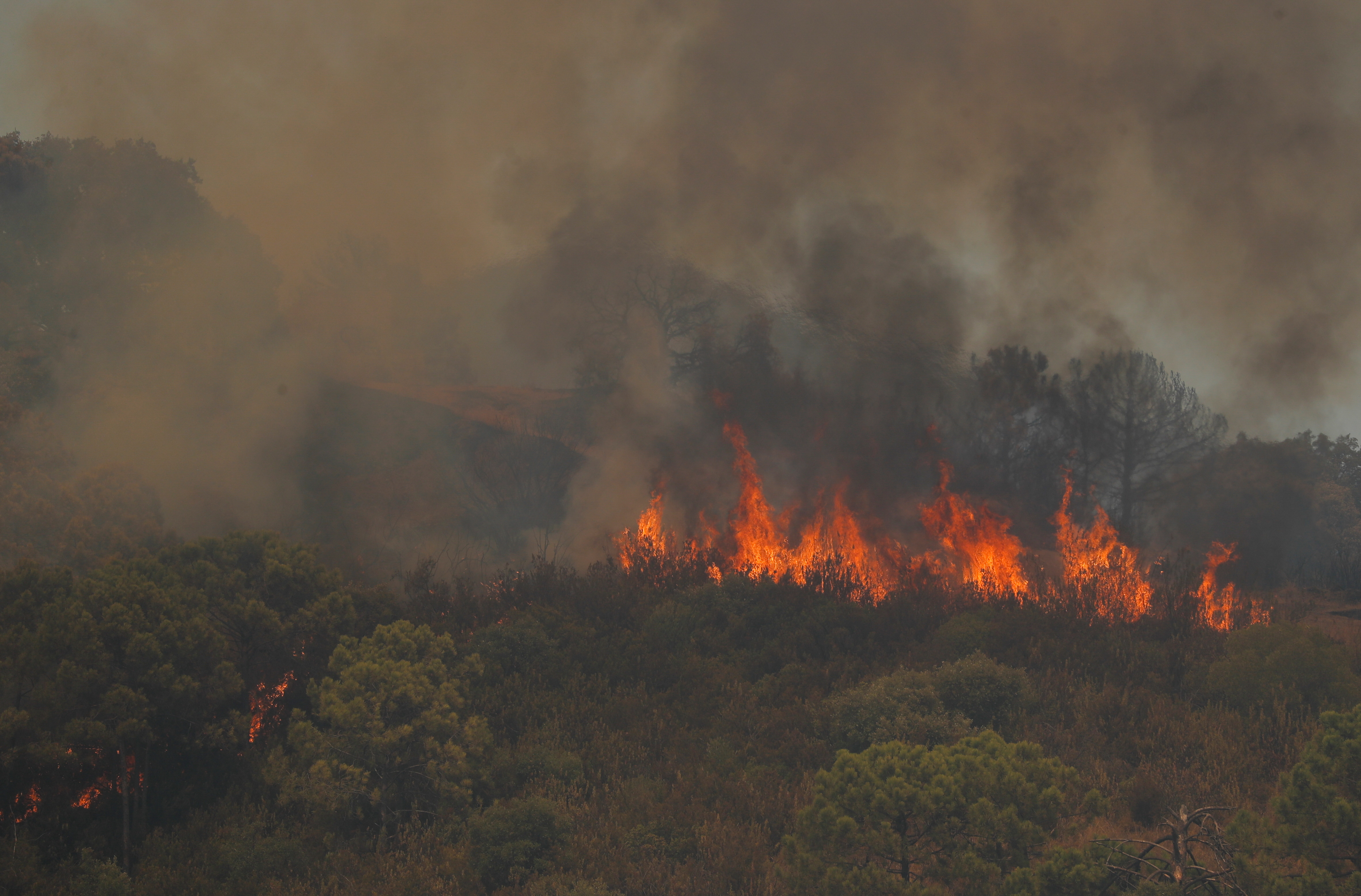 The era of 'mega forest fires' has begun in Spain. Is climate change to  blame?