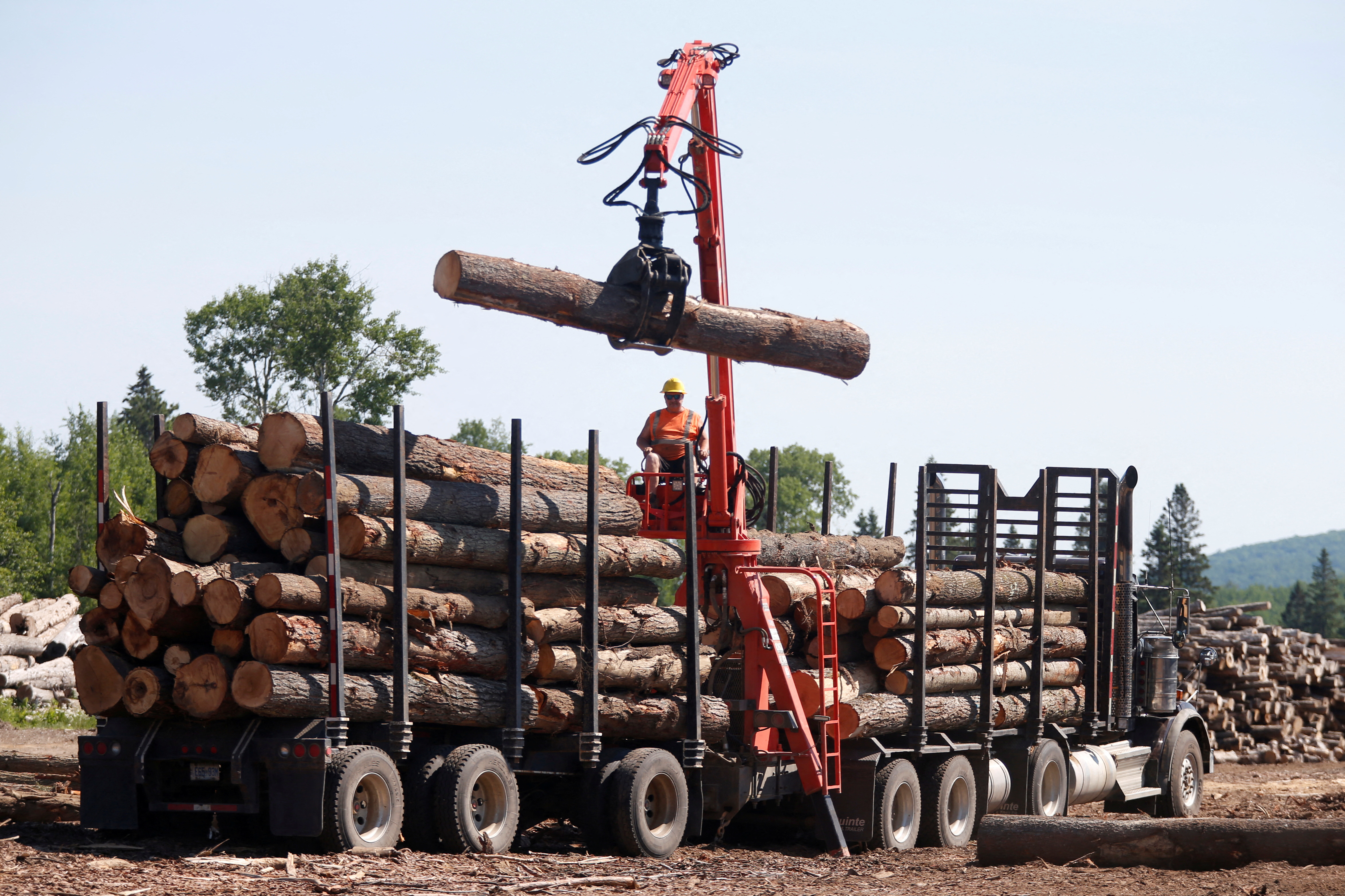 A worker unloads logs at the Murray Brothers Lumber Company in Madawaska