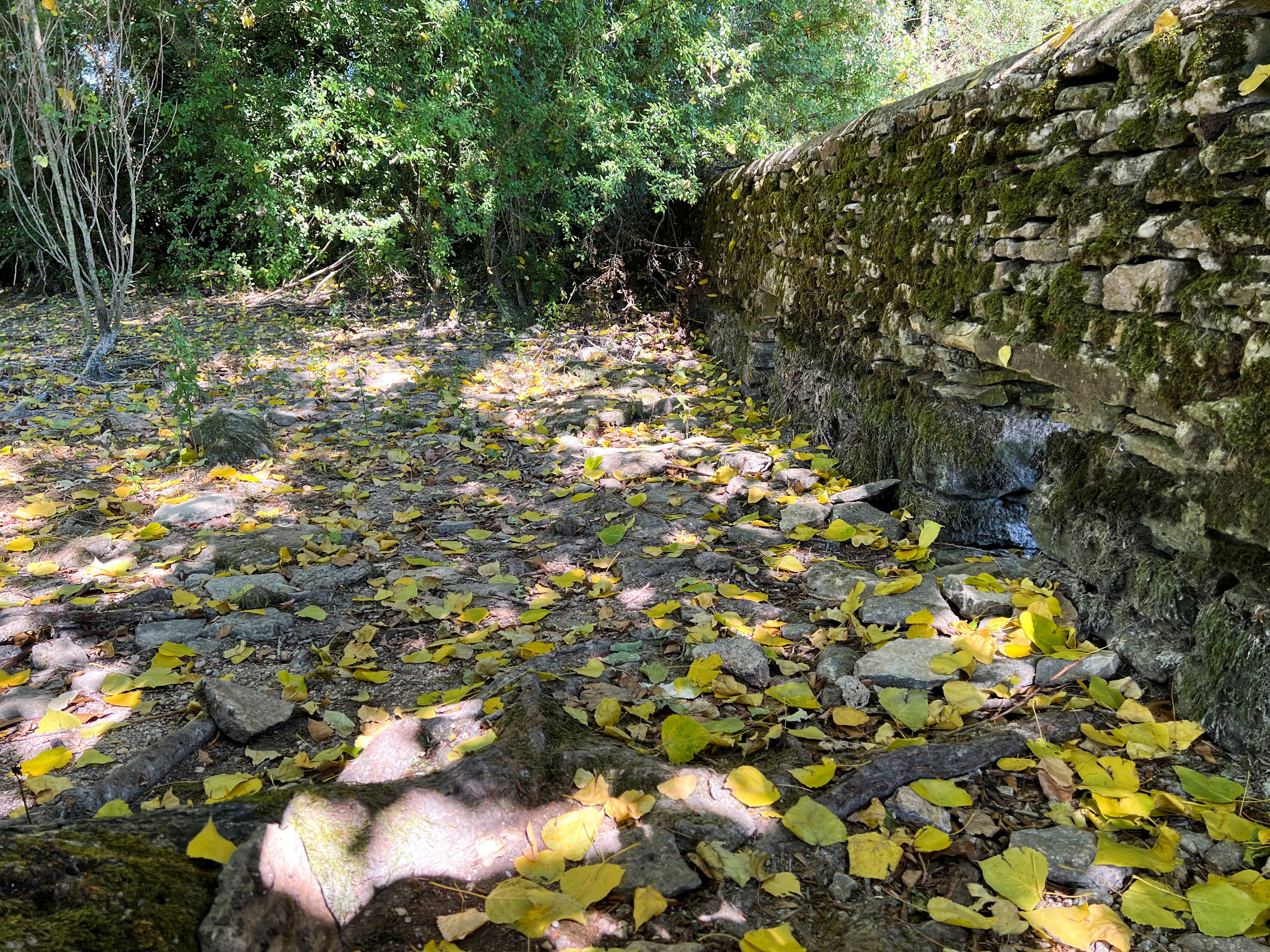 A general view of a weir and dried riverbed near the source of the River Thames, in Kemble