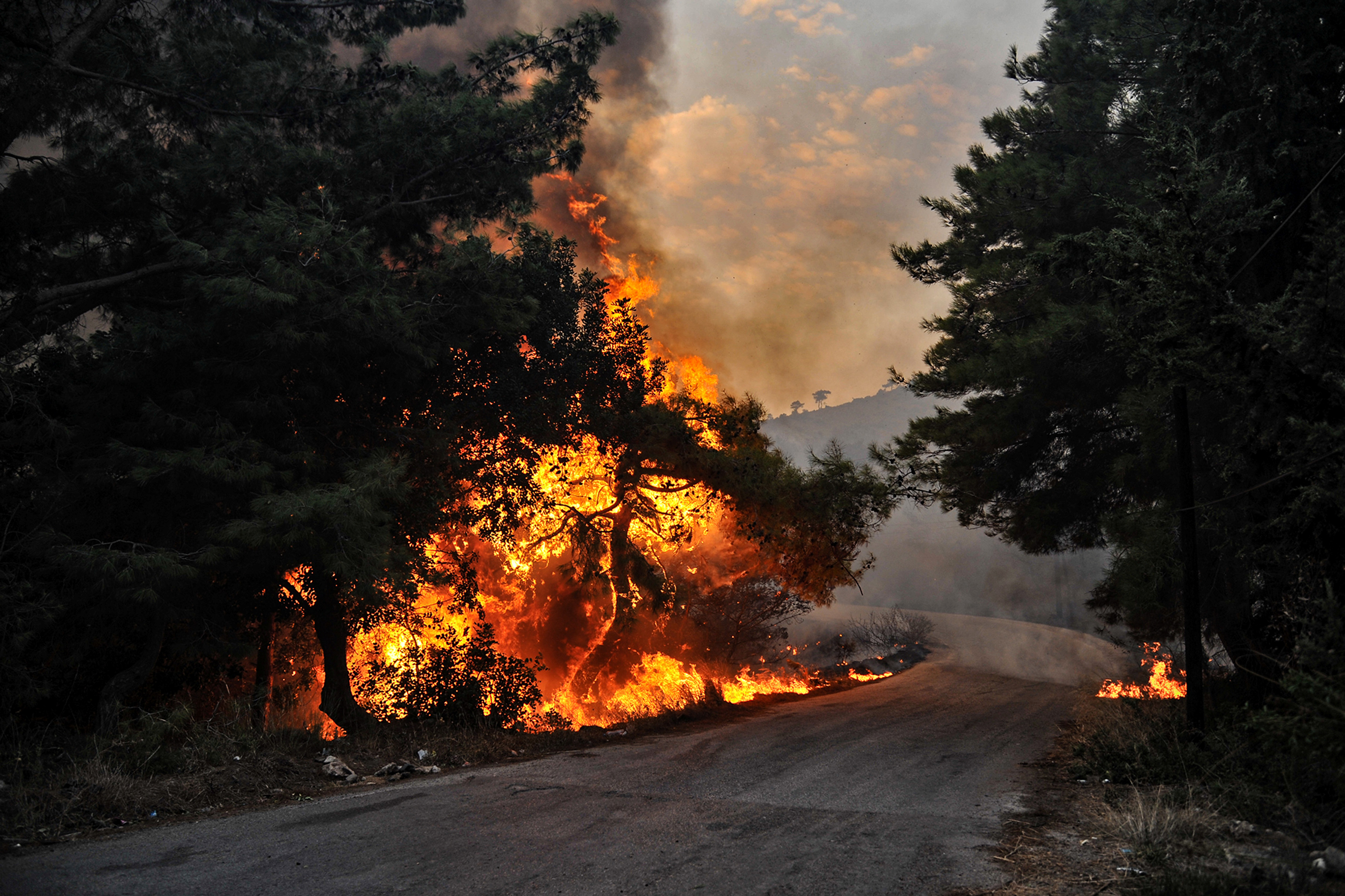 A fire burns at a forest in Latakia province, Syria in this handout released by SANA on October 9, 2020. SANA/Handout via REUTERS 