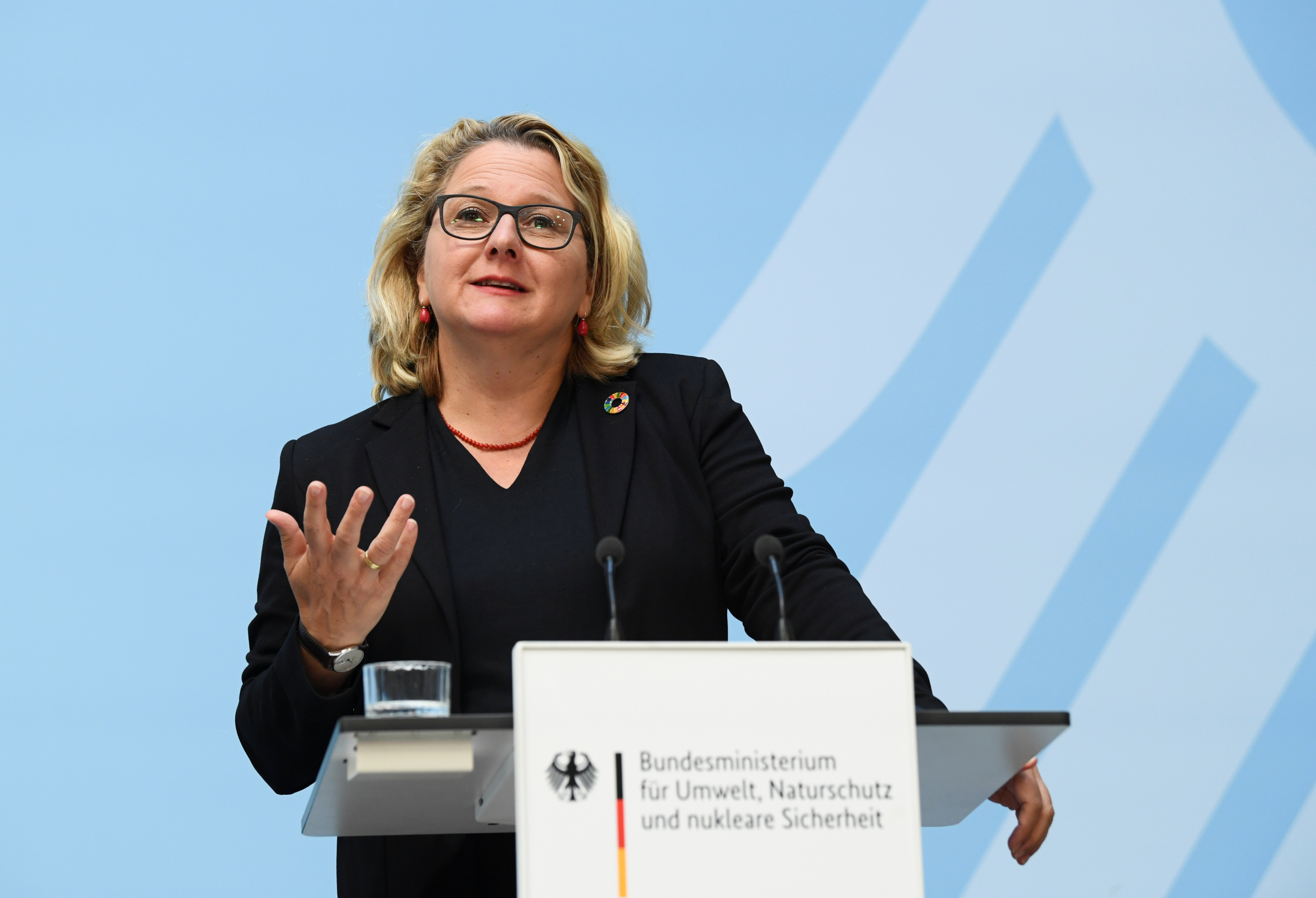 German Environment Minister Schulze gives a statement, in Berlin