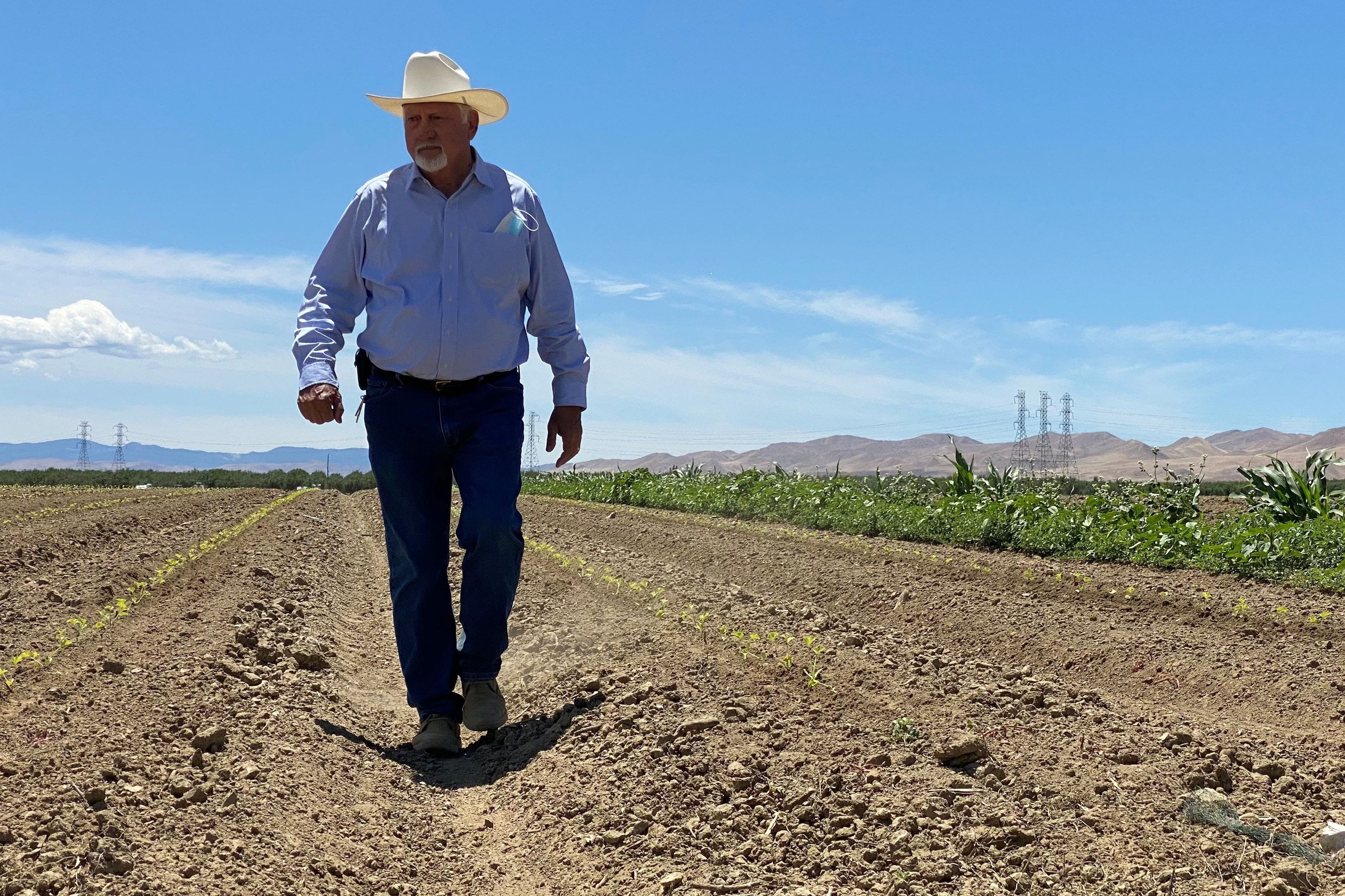 Farmer Del Bosque walks in field in Firebaugh, California