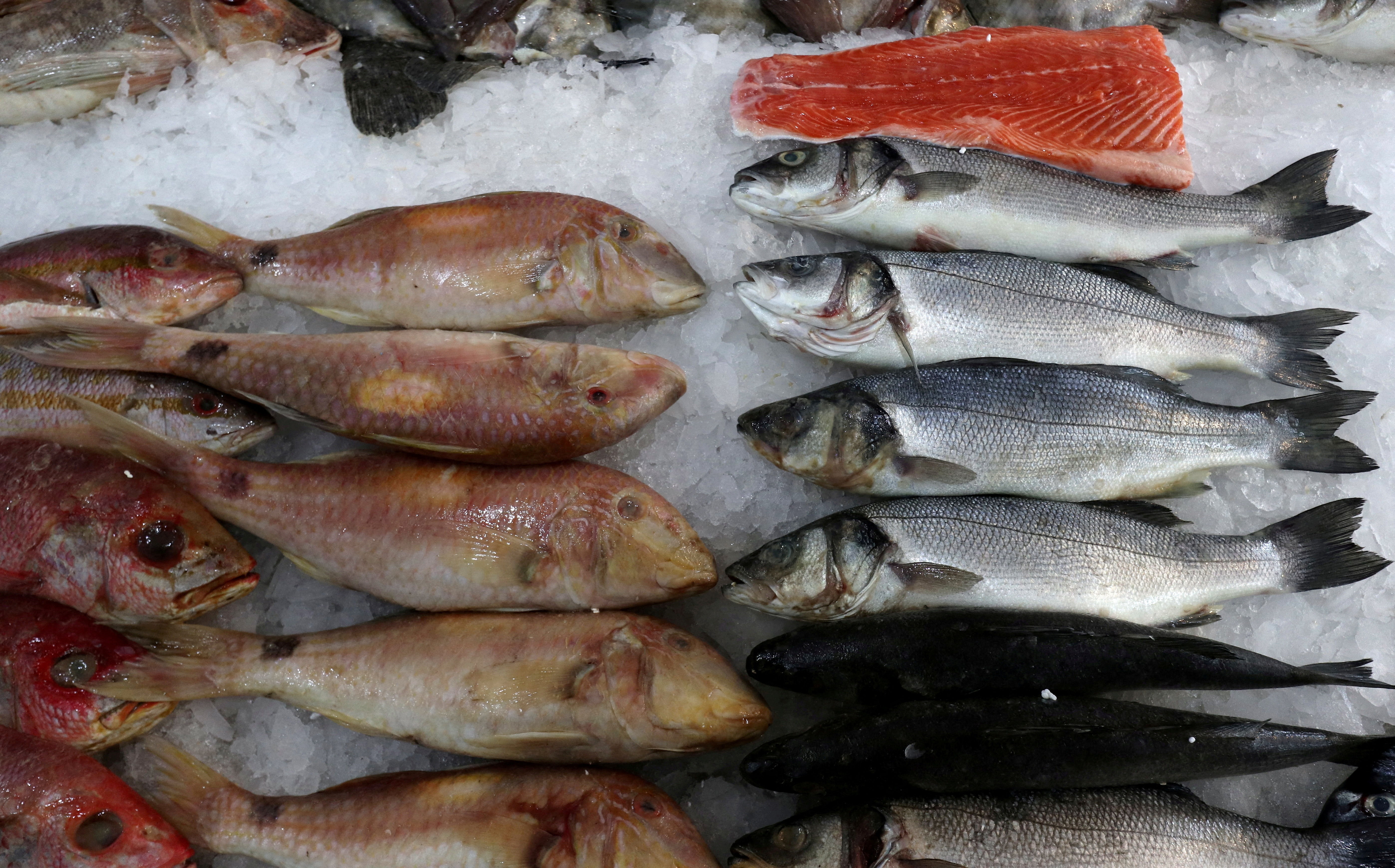Fish and Overfishing