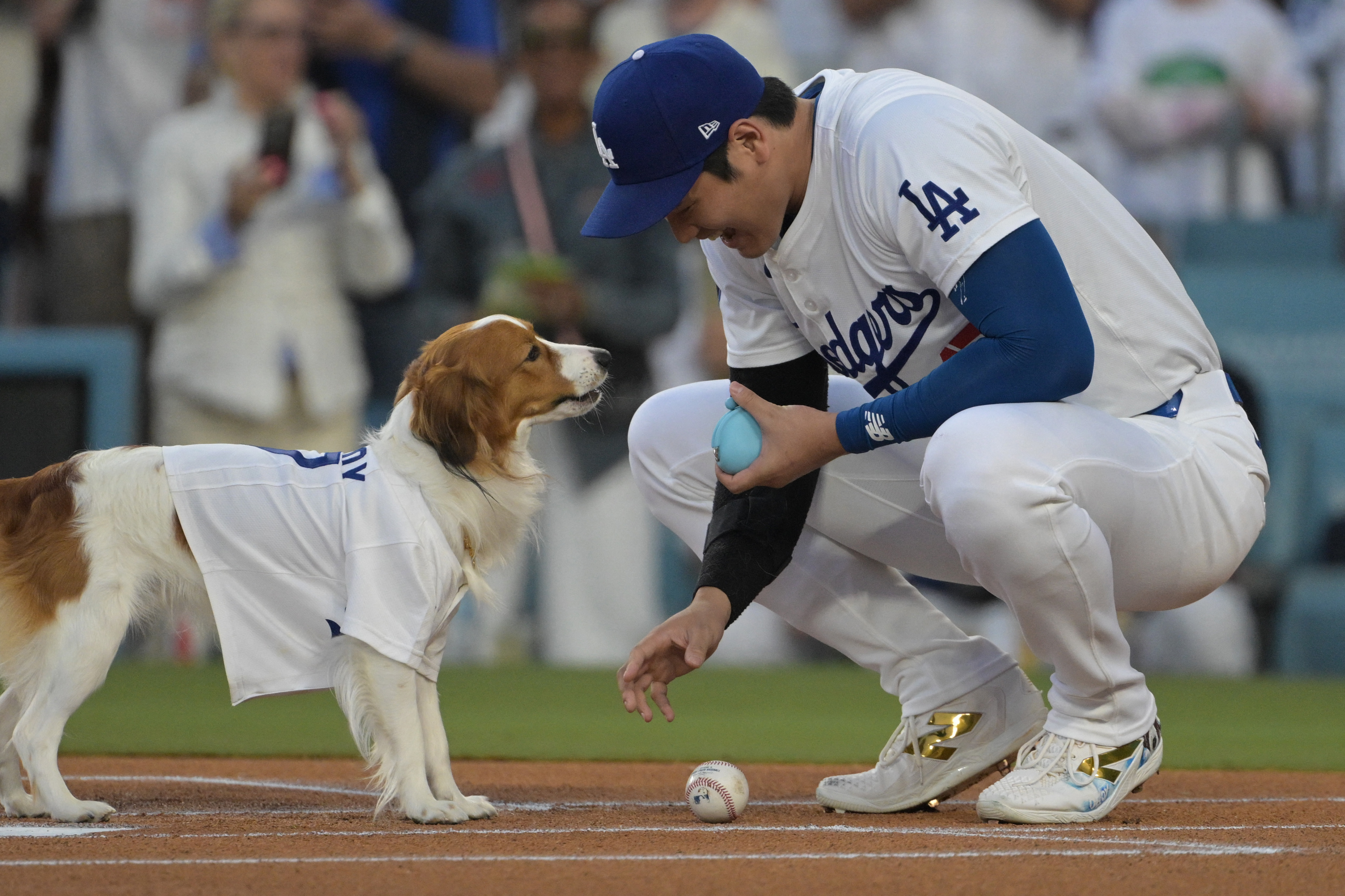MLB＝大谷の首振り人形に長蛇の列、愛犬デコピンの「始球式」も