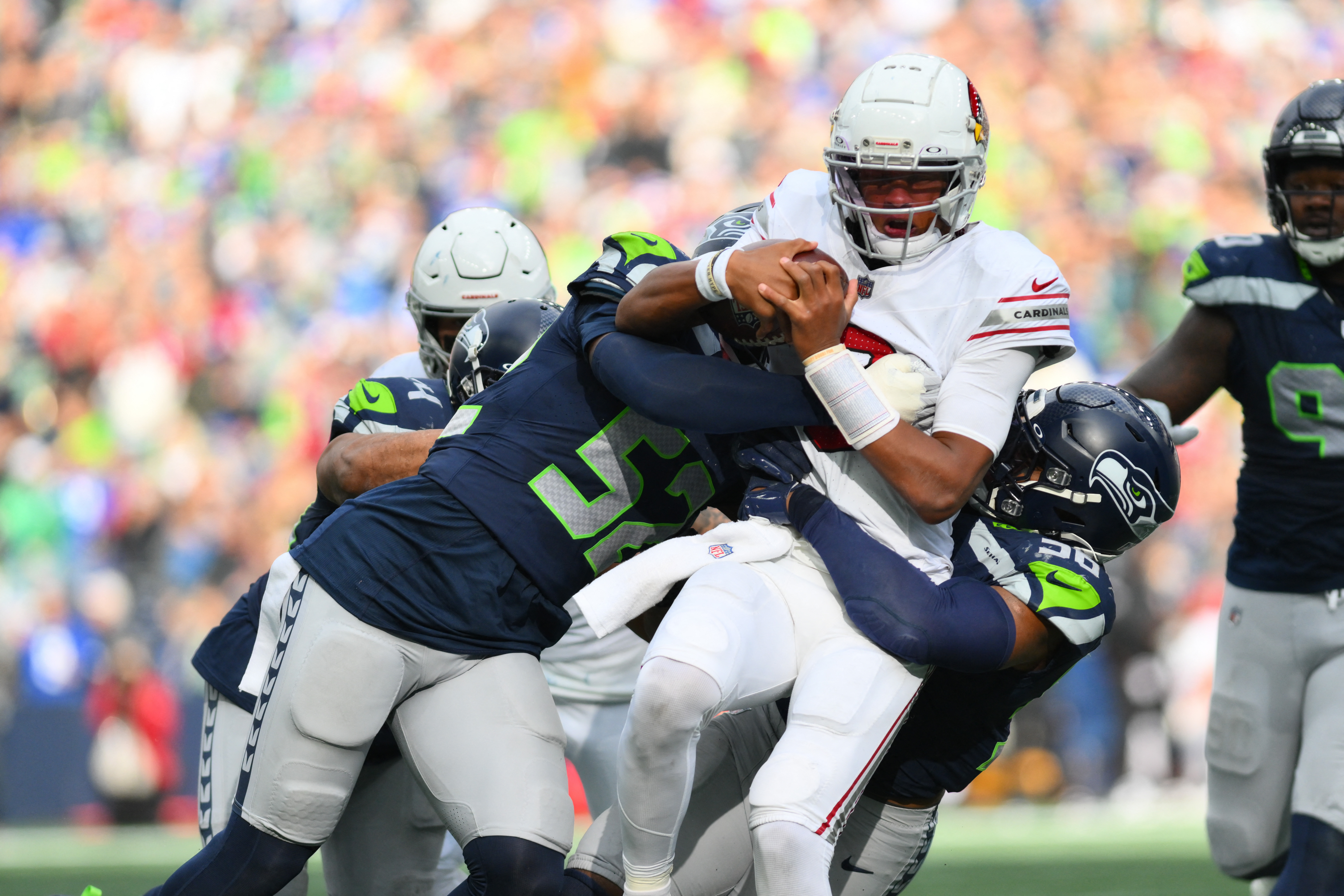 NFL: Arizona Cardinals at Seattle Seahawks, Fieldlevel