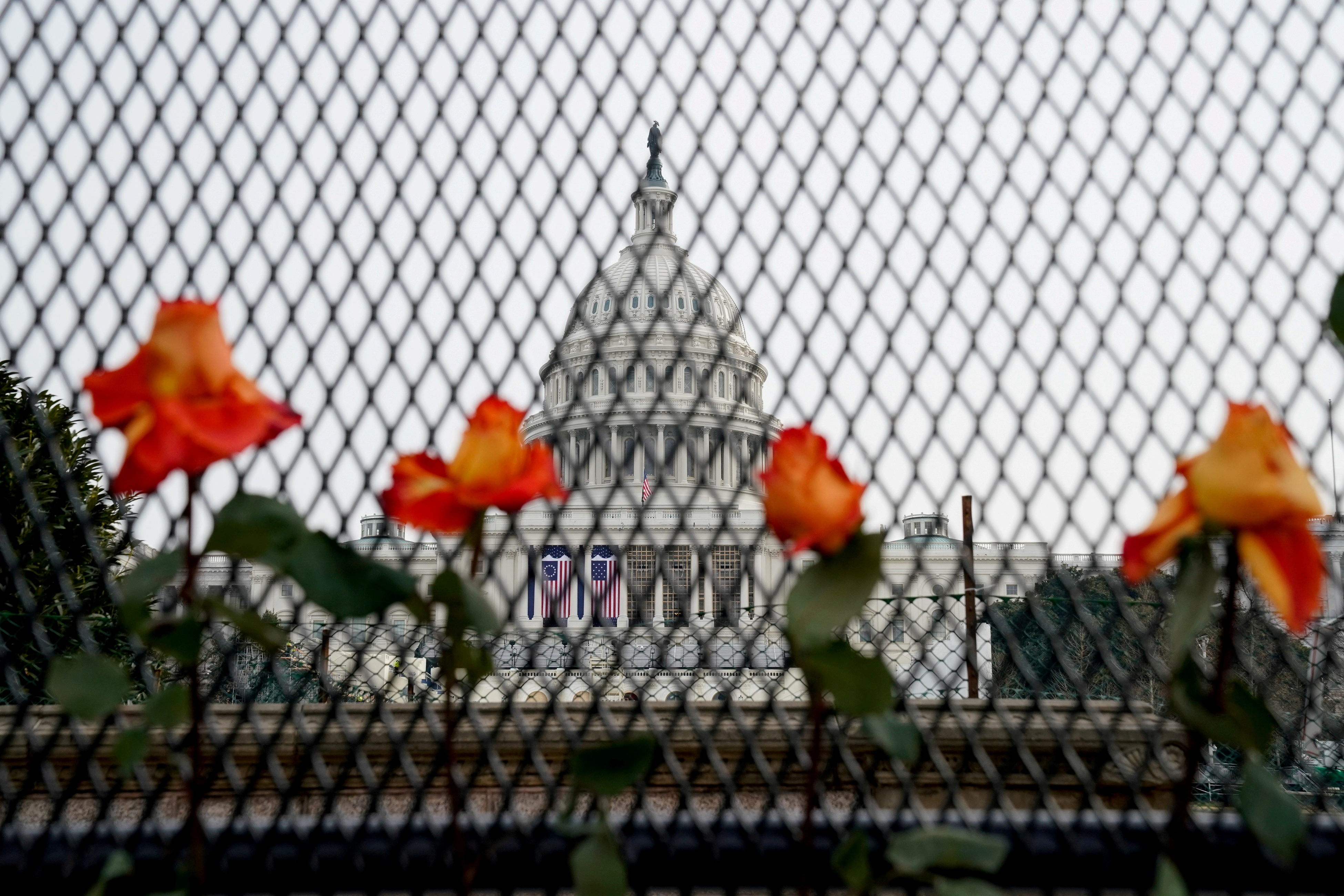 Flowers are placed in security fencing around the U.S. Capitol days after supporters of U.S. President Donald Trump stormed the Capitol in Washington