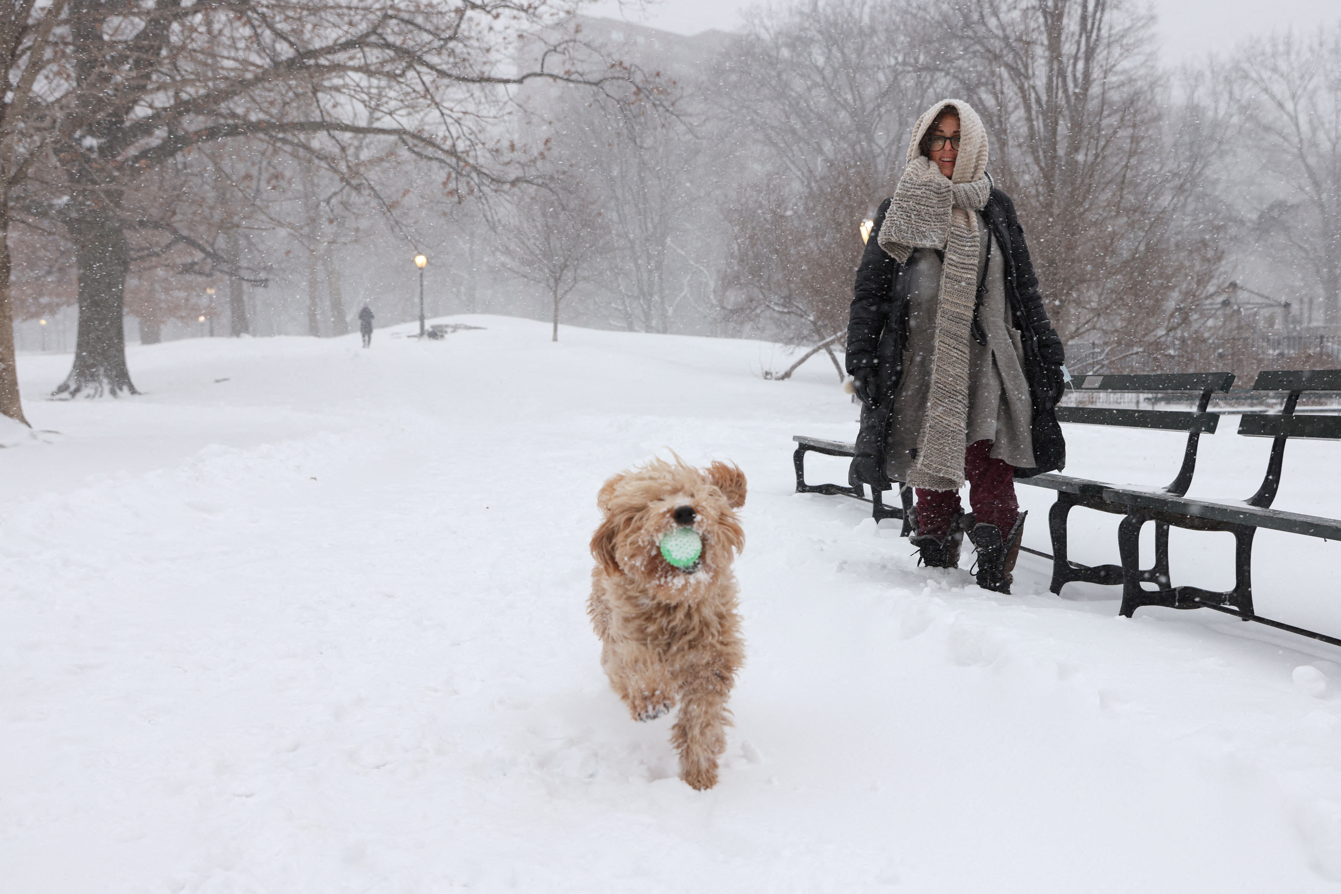 A goldendoodle plays in the snow at Central Park after the Nor'easter storm hit the region, in New York City U.S., January 29, 2022. REUTERS/Caitlin Ochs