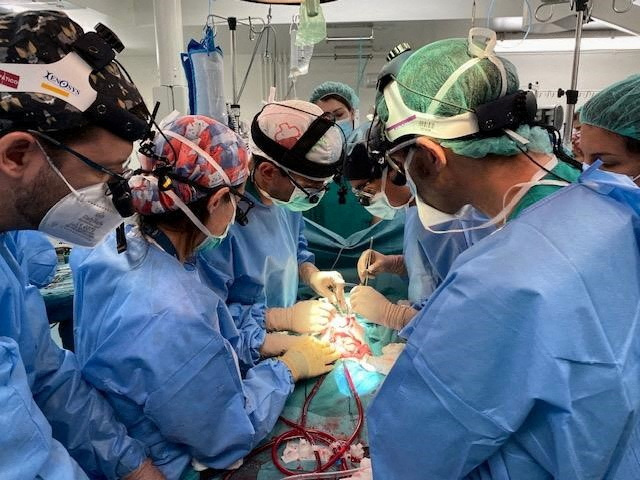 First baby to successfully receive a multi-visceral intestinal transplant from a controlled pediatric donor in asystole in Madrid